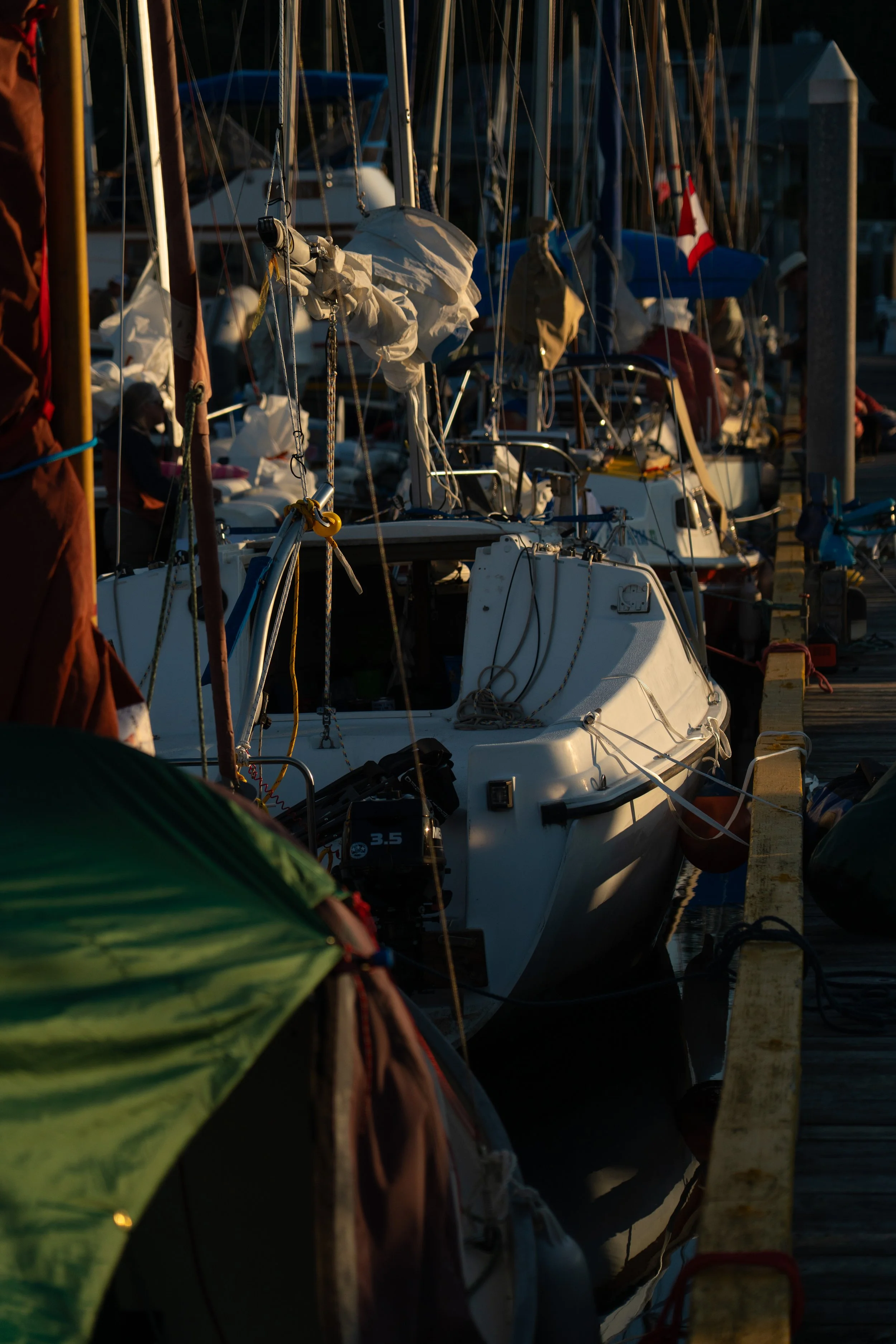 A row of sailboats docked at a marina during sunset, with a Canadian flag visible on one of the boats.