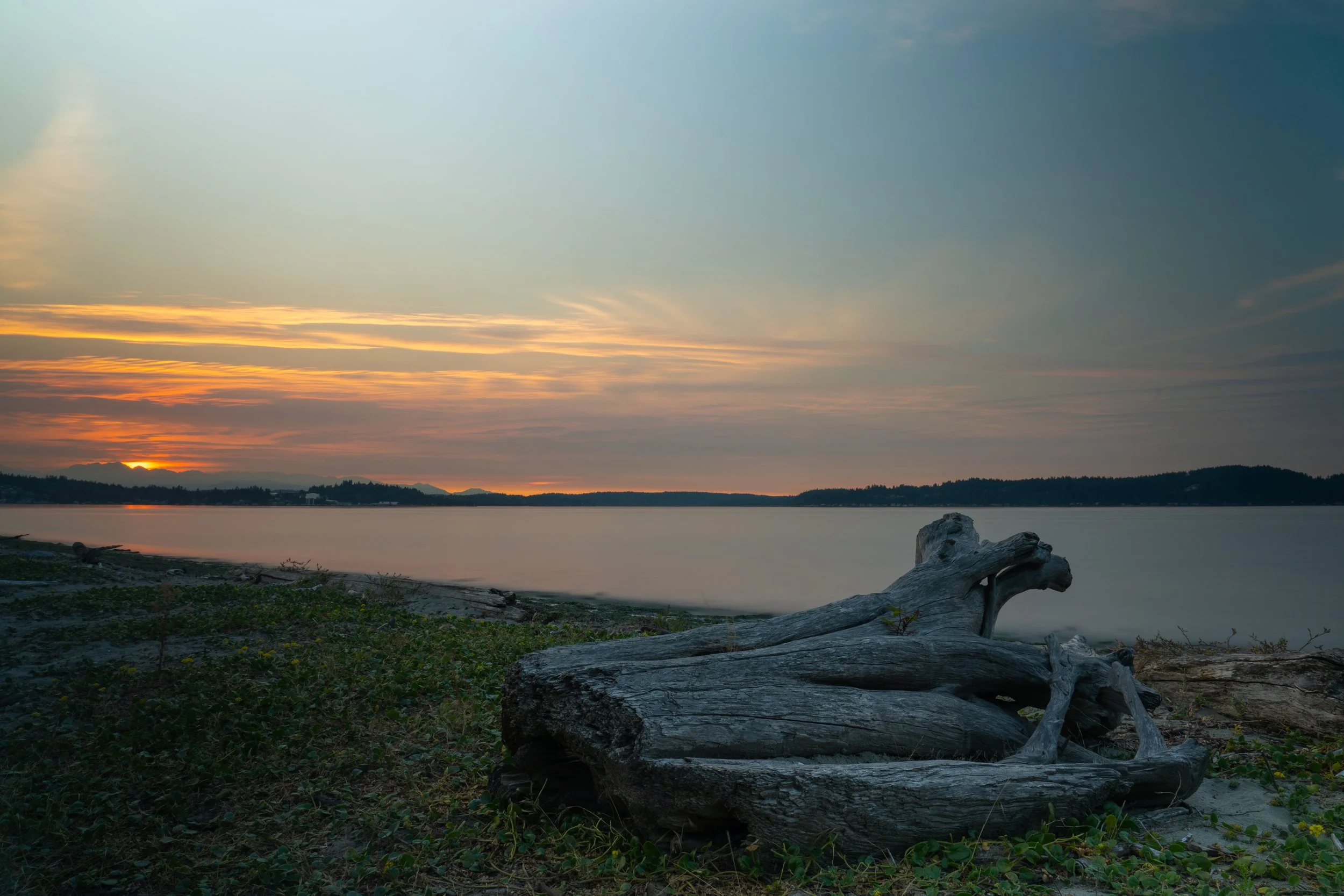 Landscape view of a lake at sunset with a cloudy sky, distant hills, and driftwood on the shore in the foreground.