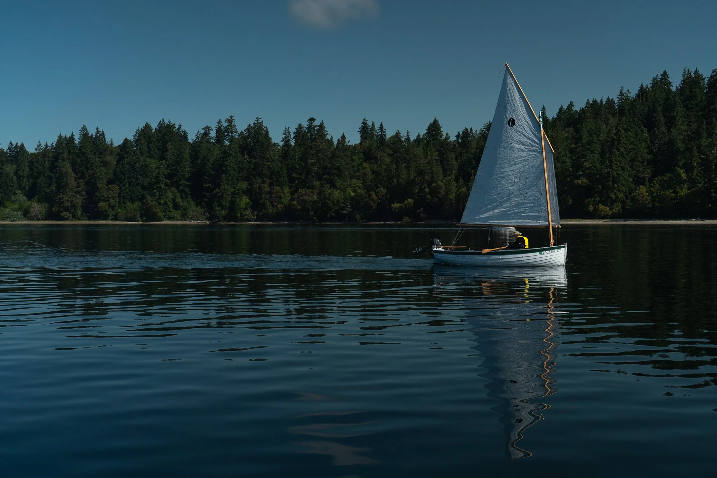 A sailboat with a white sail on a calm body of water, surrounded by dark green trees under a clear blue sky.