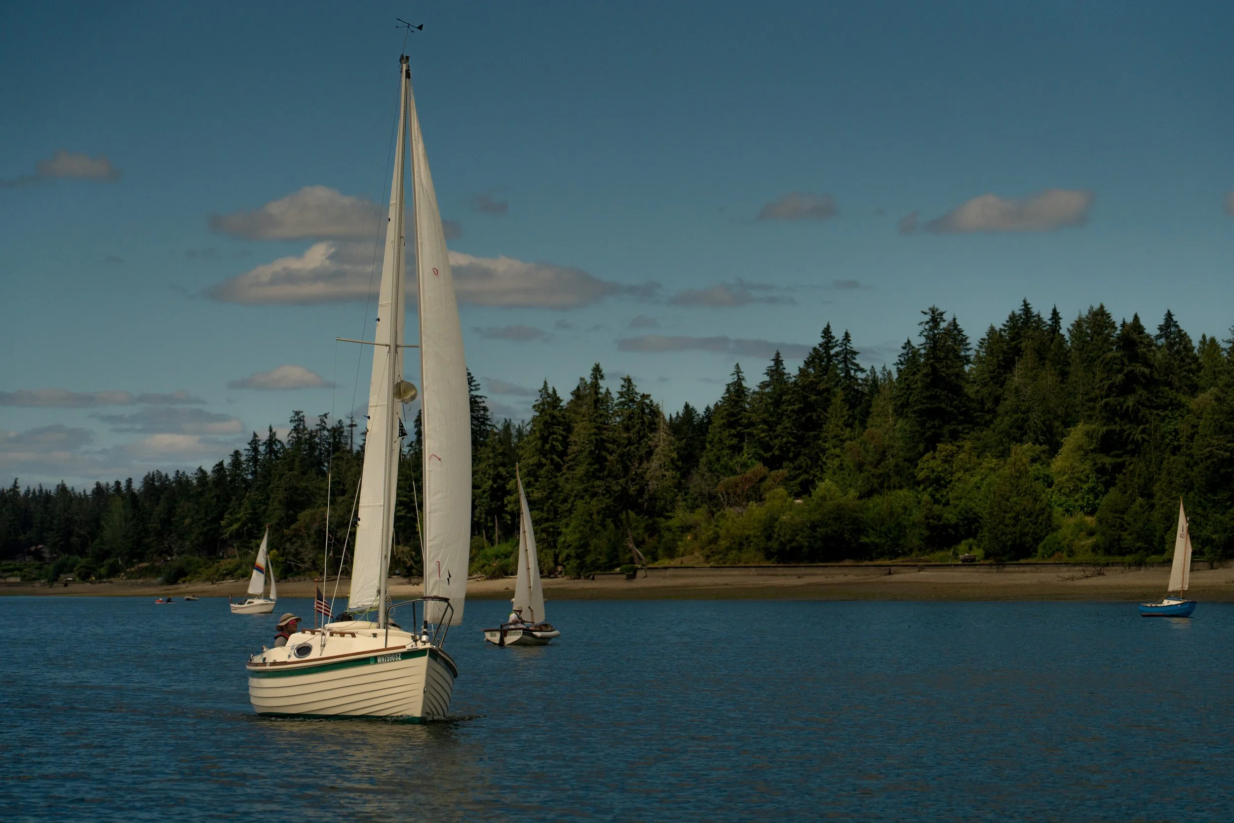 Several sailboats anchored on a calm body of water near a forested shoreline under a partly cloudy sky.