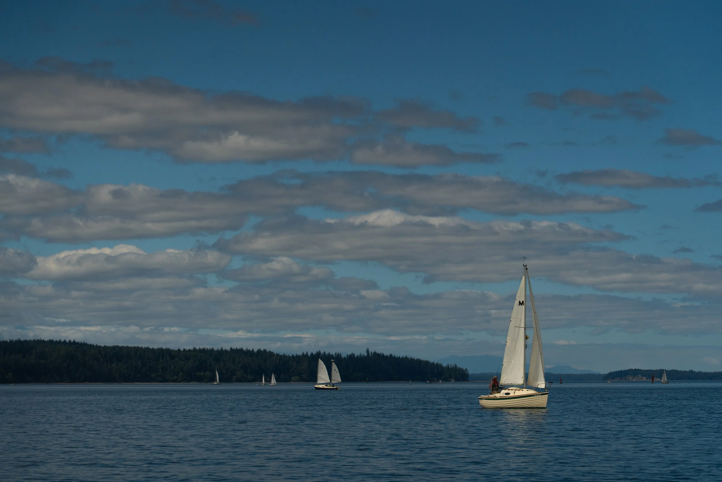Sailboats on calm water under a partly cloudy sky, with a forested shoreline in the background.