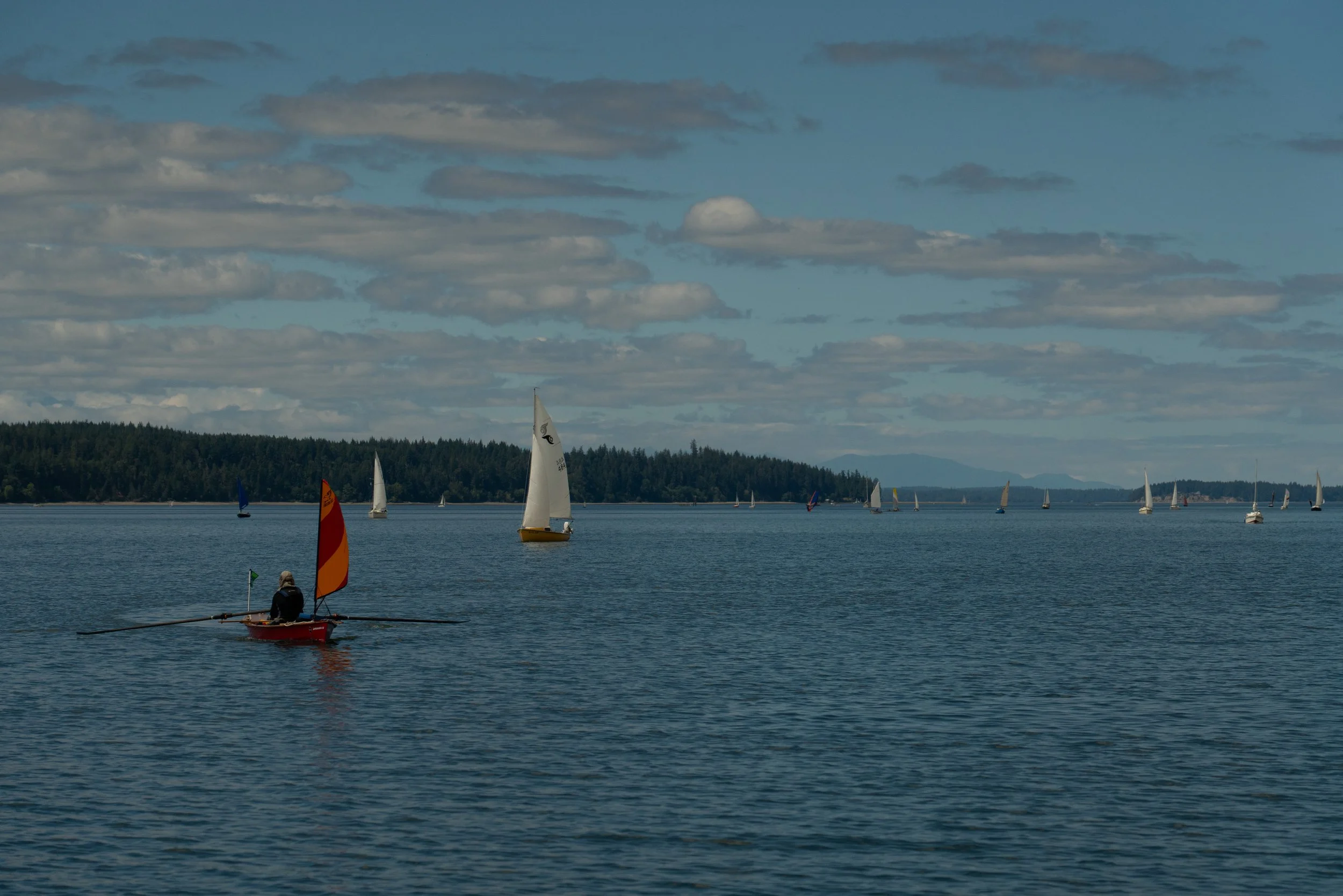 A person in a red kayak with a single sail, on a calm body of water, with multiple sailboats in the distance and a forested shoreline under a cloudy sky.