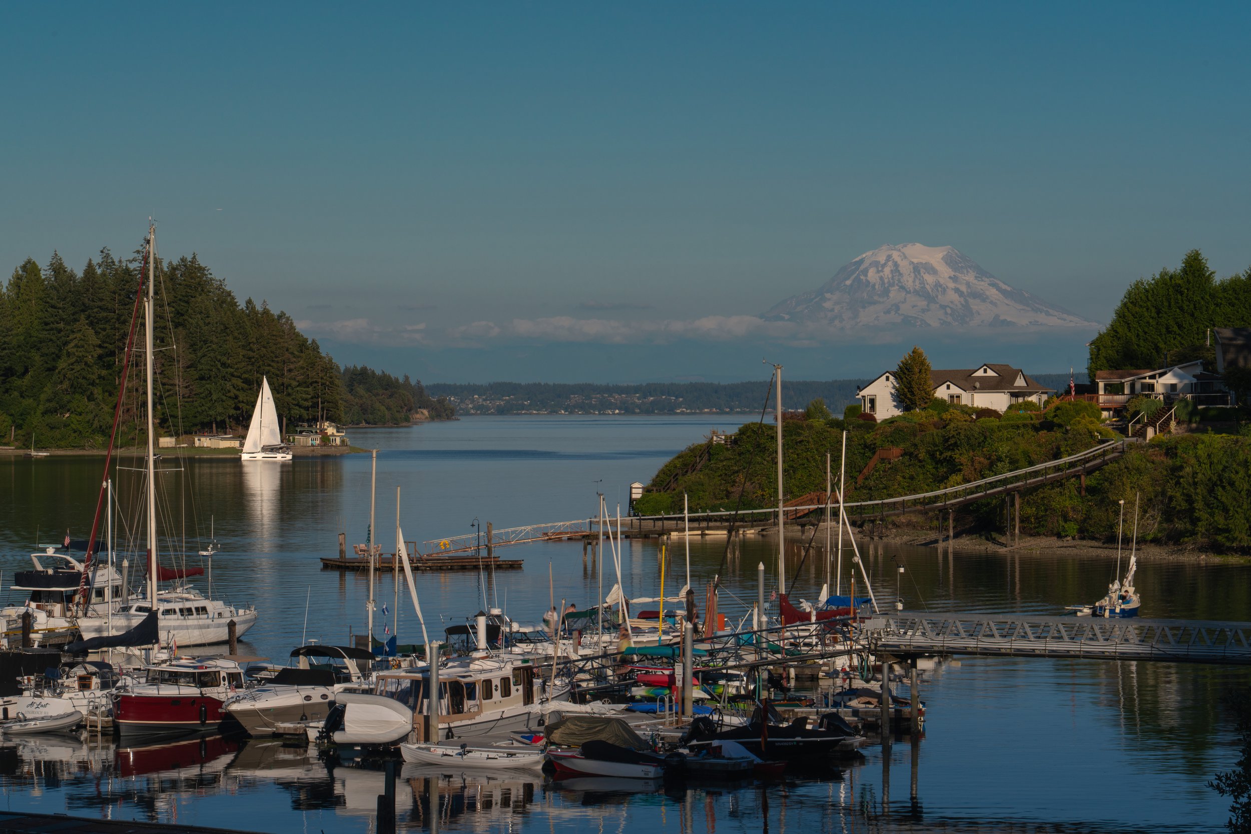 A marina filled with numerous boats docked along the shoreline, with a calm water body reflecting the boats. In the background, there is a lush green hillside with houses on the right side and a large snow-capped mountain, possibly Mount Rainier, in 