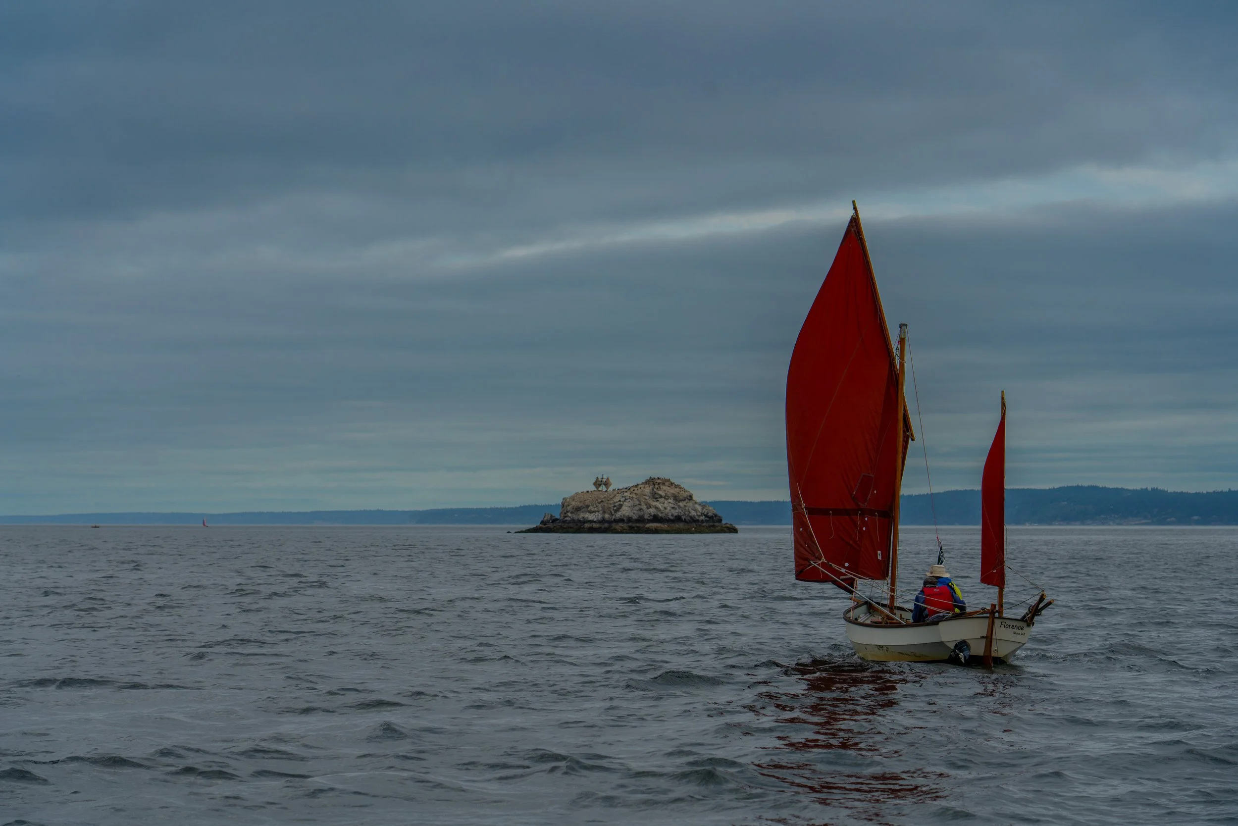 DSC02655.jpg