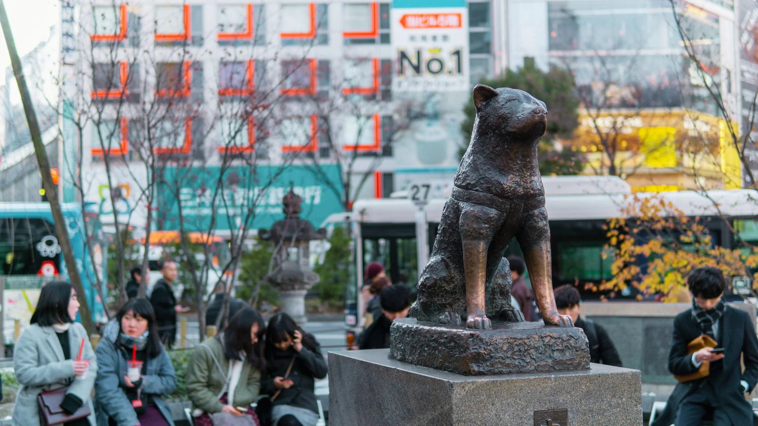 HACHIKO