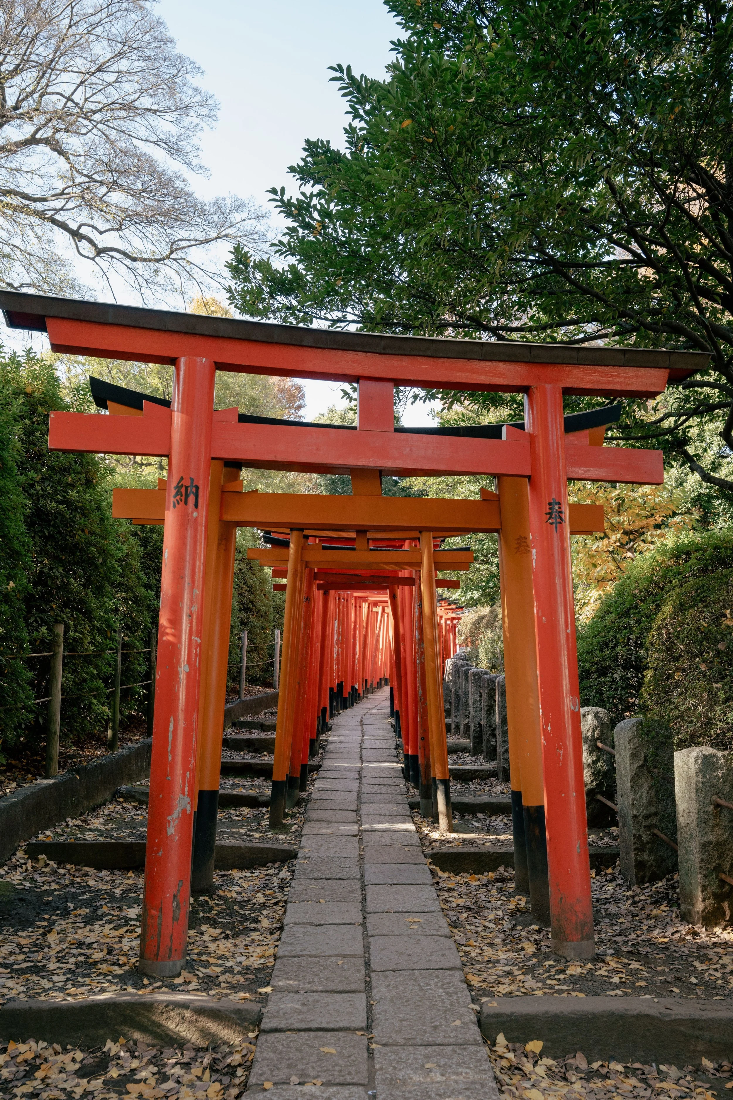 YANAKA 6.jpg