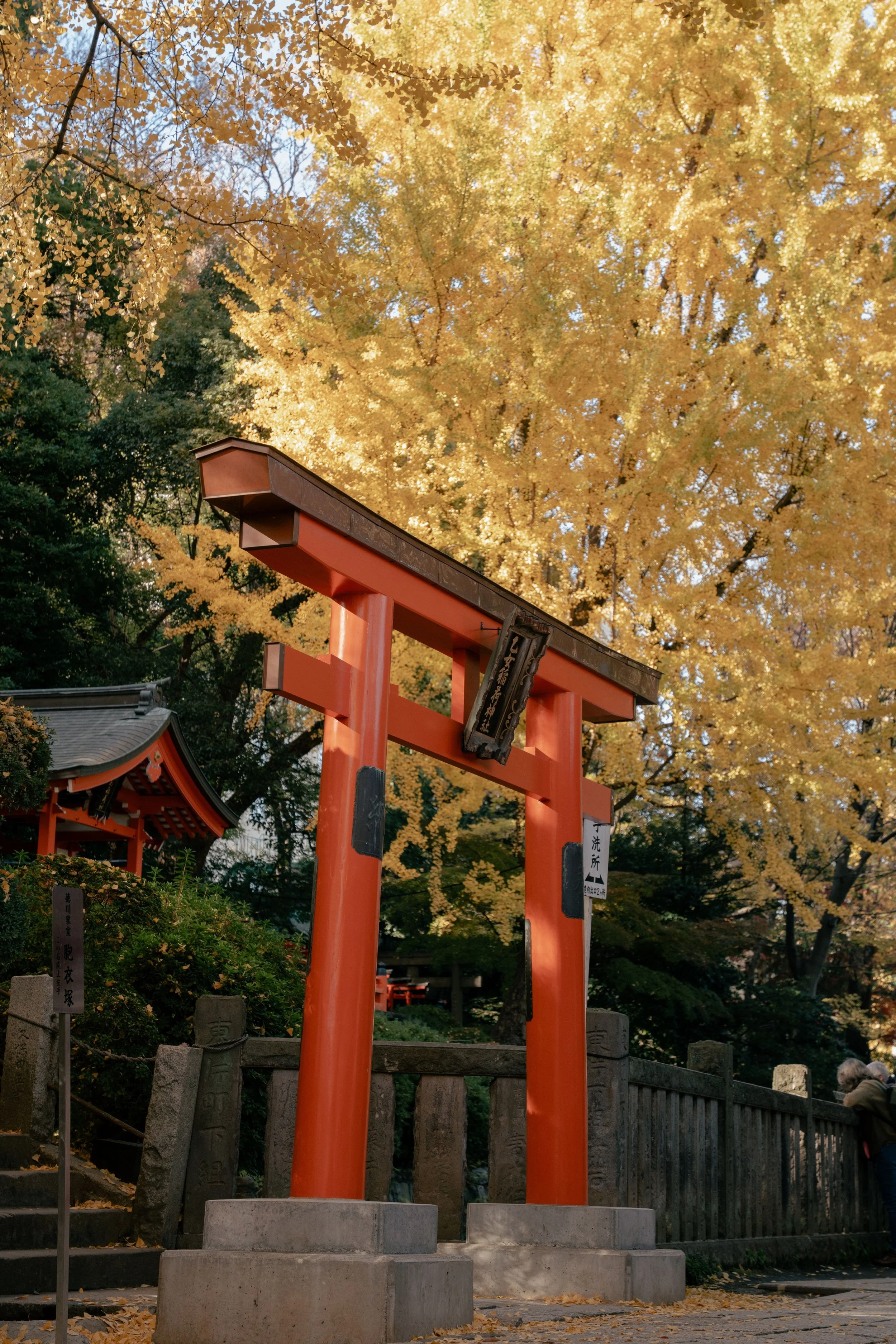 YANAKA 8.jpg