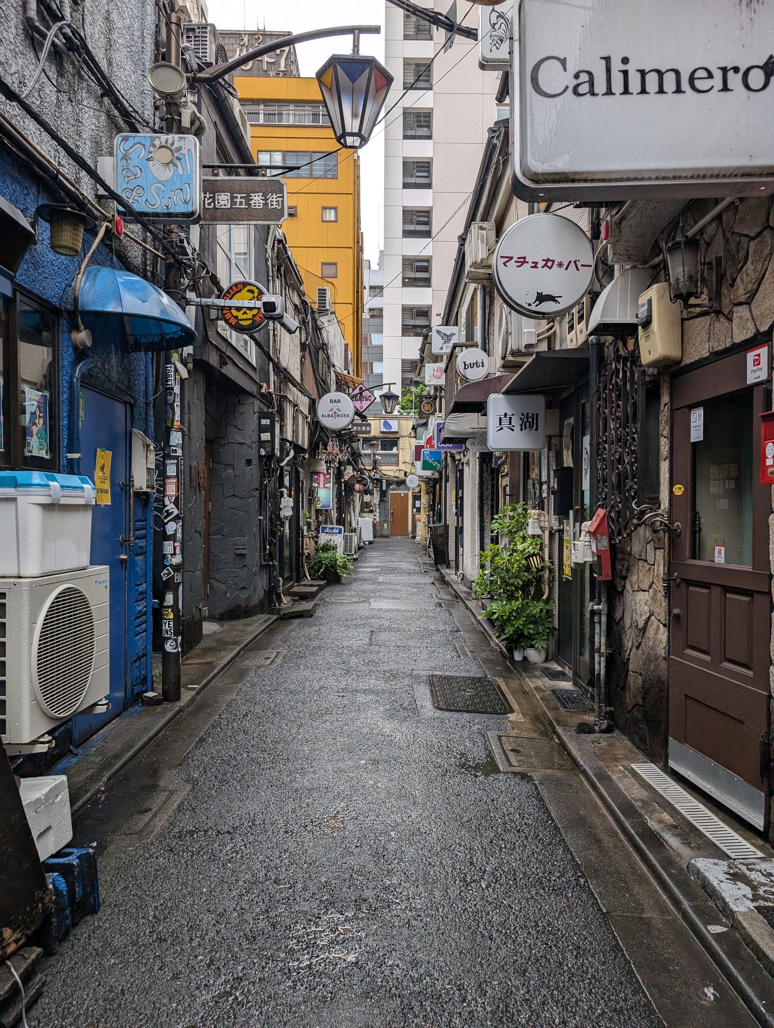 YANAKA 10.jpg