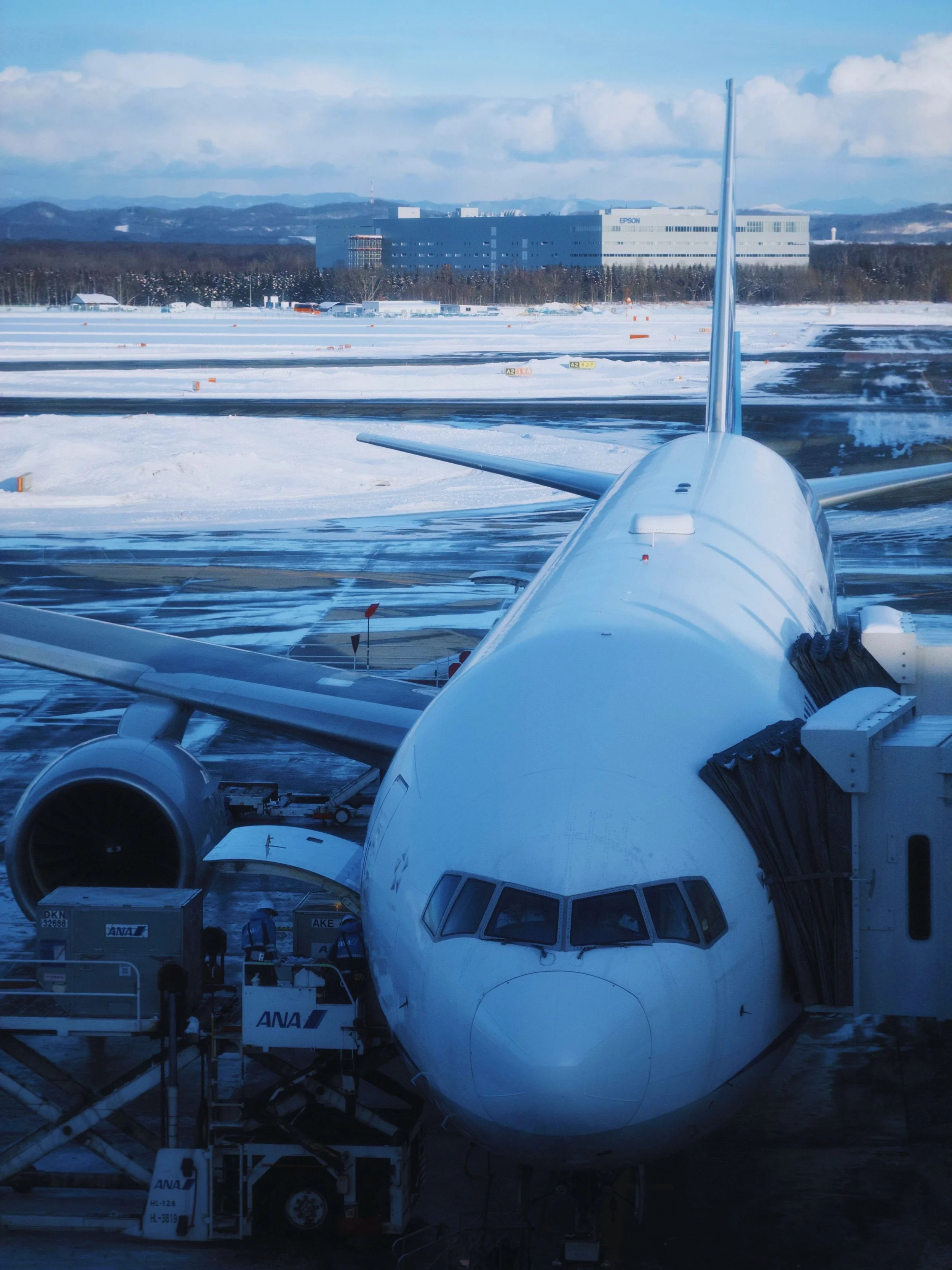 ANA AVION.jpg