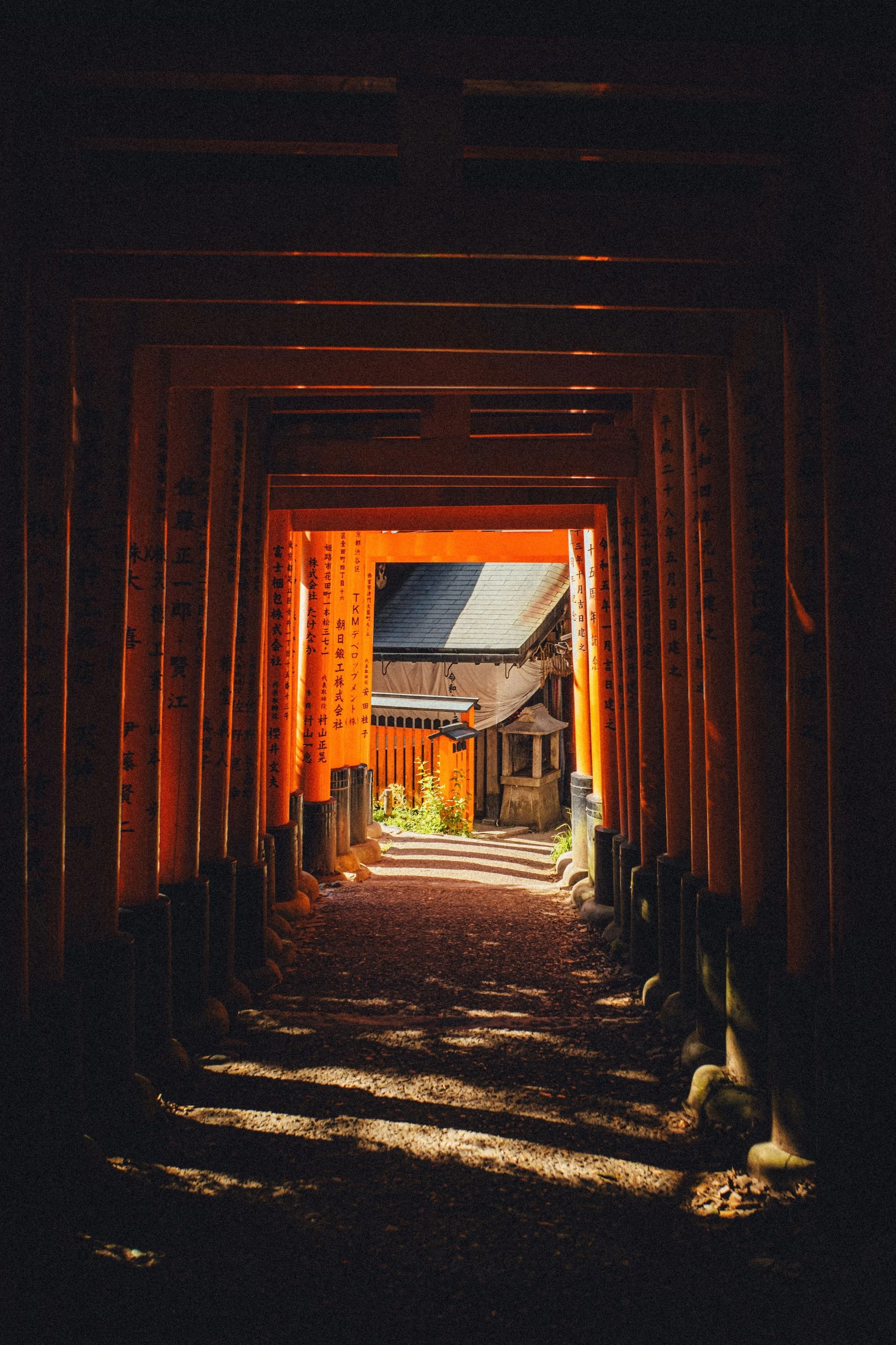 TORII.jpg