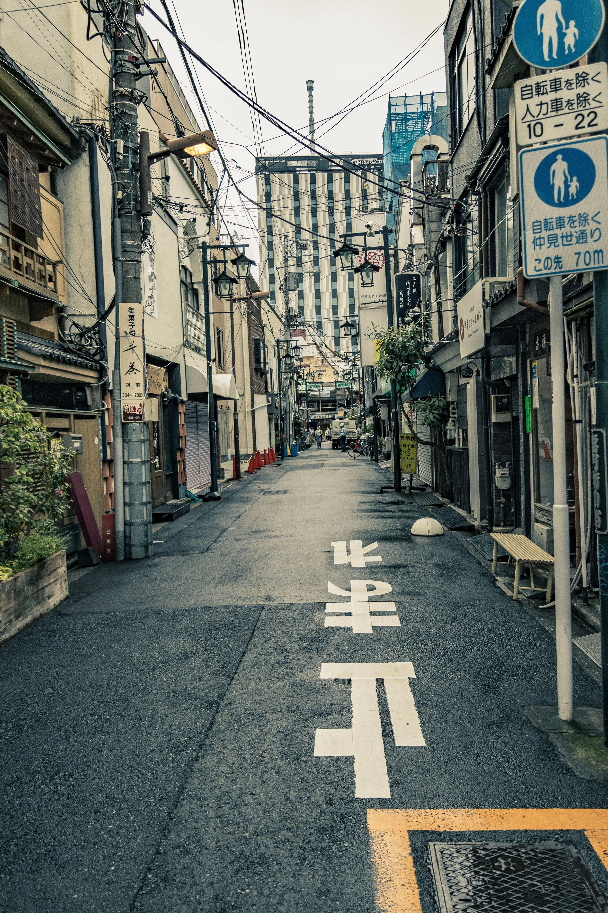 RUELLE.jpg