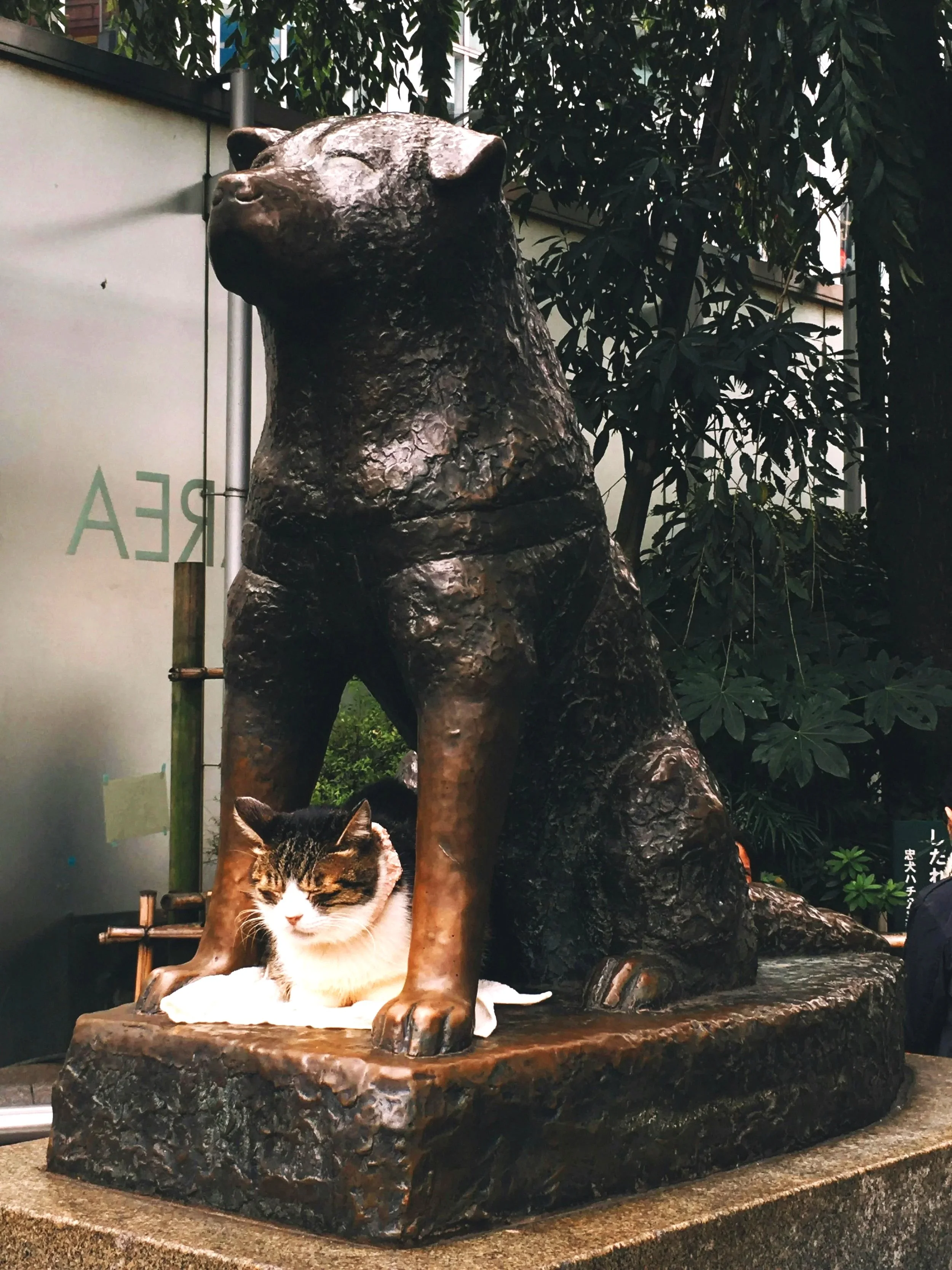 Une sculpture en bronze représentant un lion et un chat domestique, situés sur une plateforme en pierre, dans un environnement naturel avec des arbres en arrière-plan.