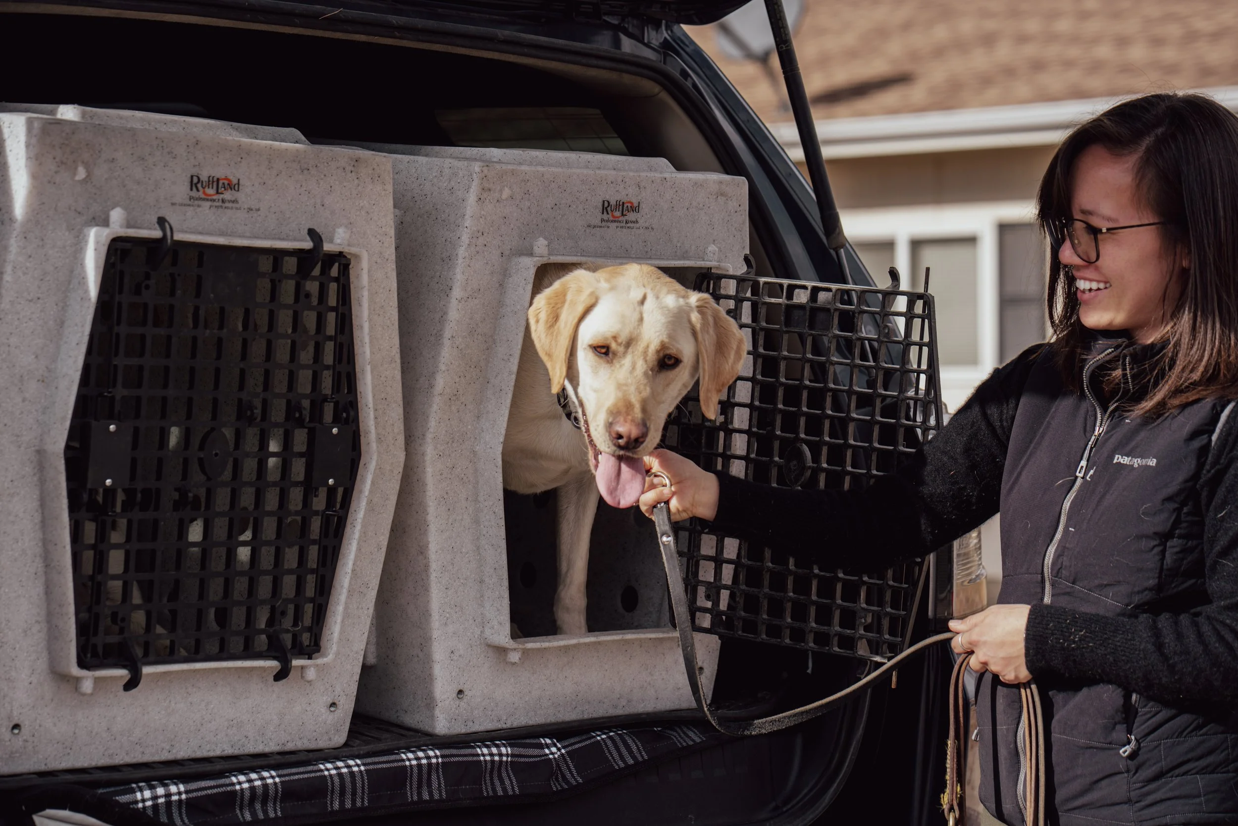 Professional dog trainer safely loading a Labrador into a secure RuffLand kennel for structured dog training, boarding, and transportation services in Greeley, Colorado