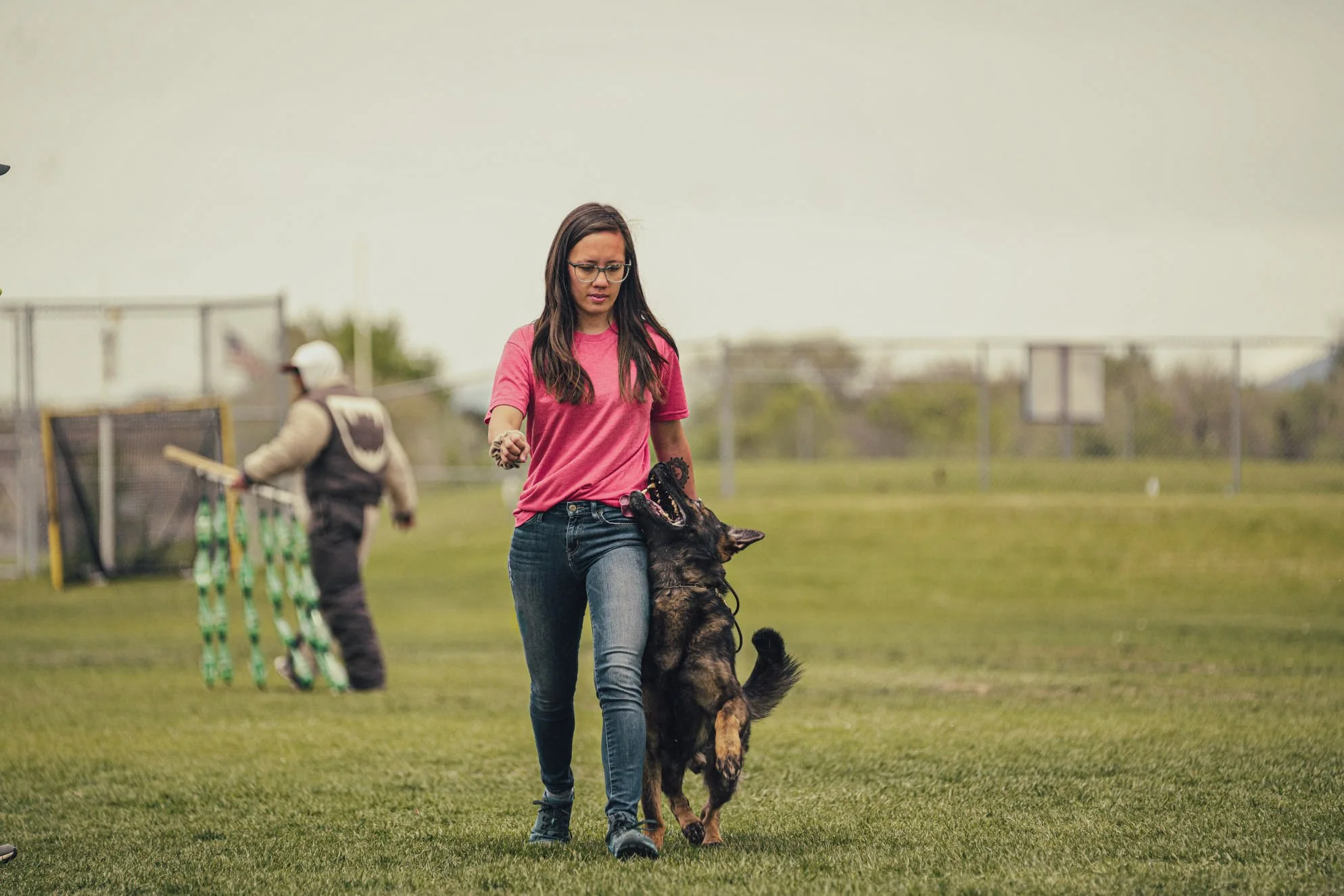 trainer working with dog in a home environment trainer working with dog in a home environment