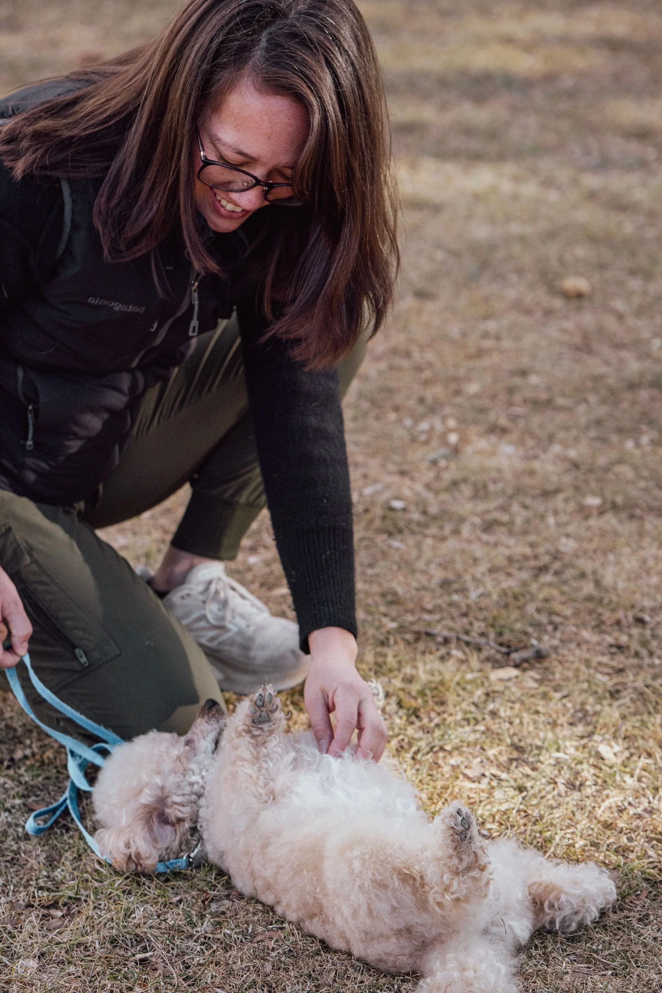 Day training session with dog practicing engagement and confidence building.