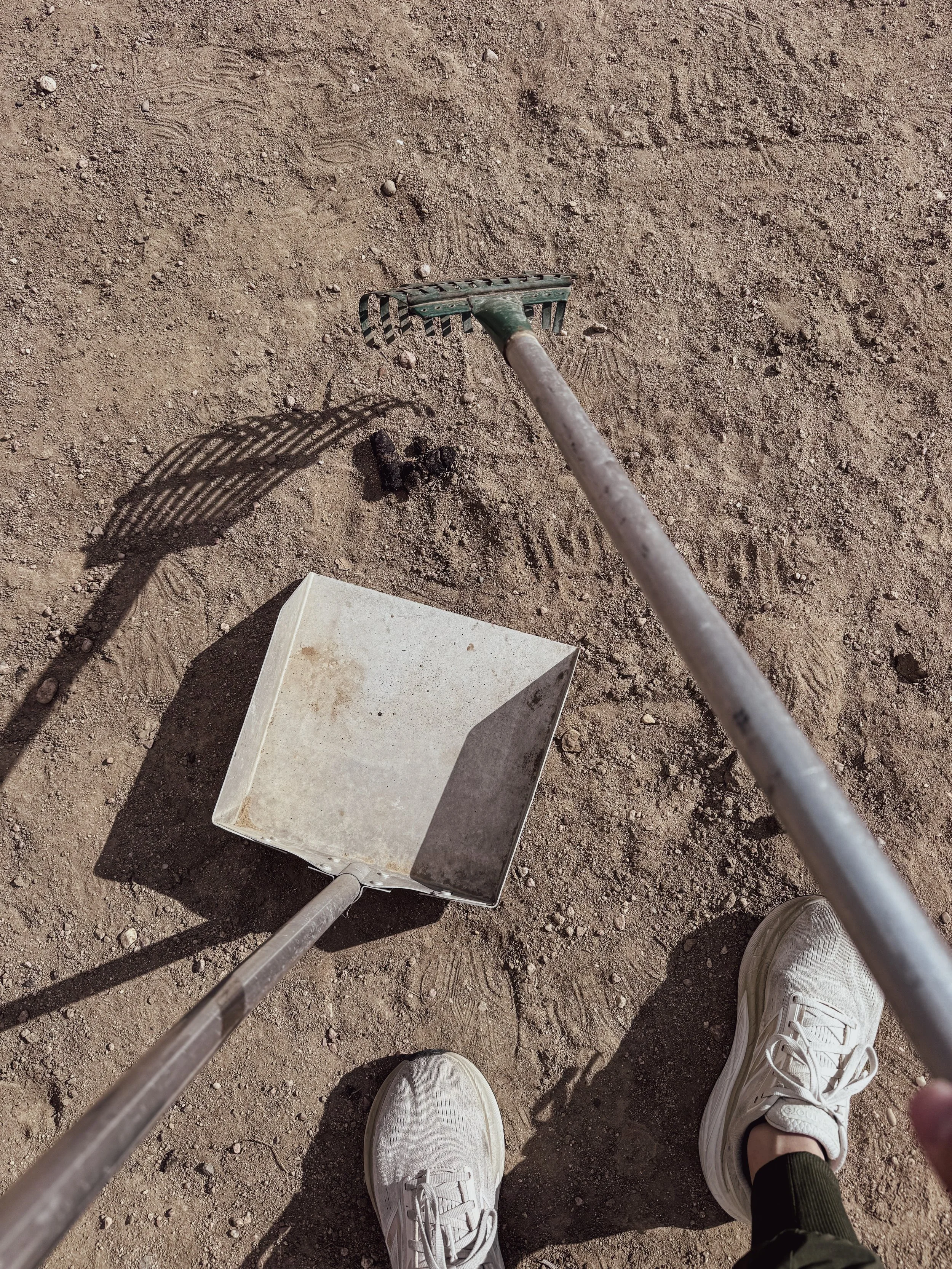 Dog poop scoop services in Greeley Colorado