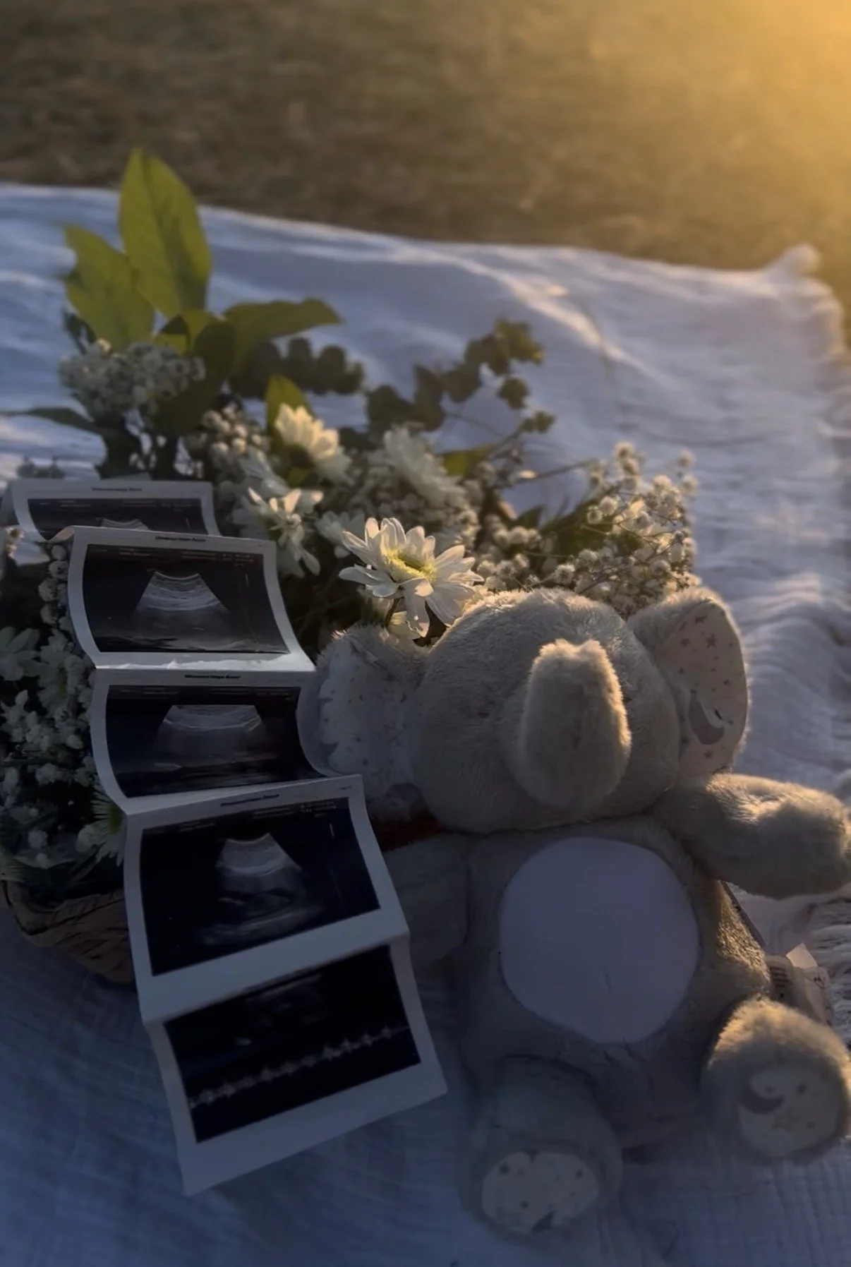 A plush bunny toy, a bouquet of white flowers and greenery, four ultrasound images, and a white cloth on a surface outdoors at sunset.