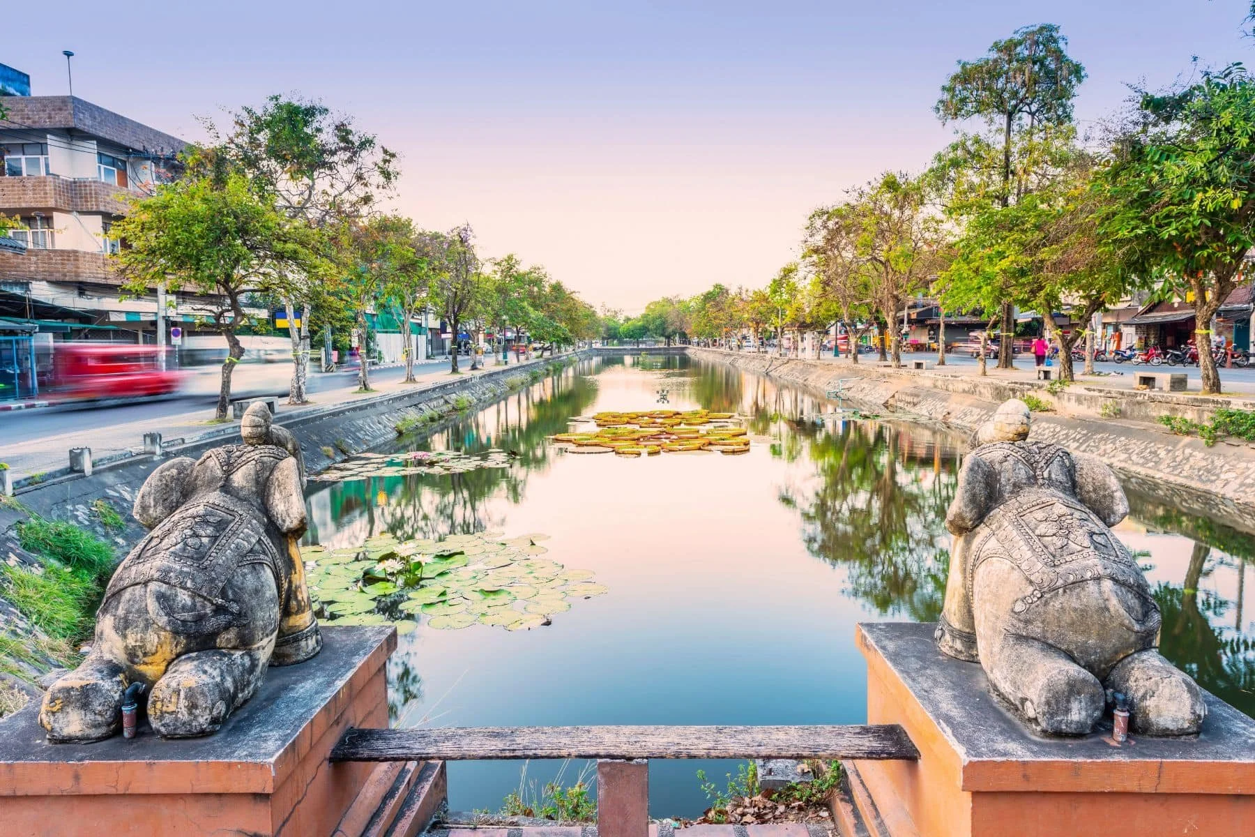 View of a canal with lily pads, flanked by roads and trees, with two carved stone elephant statues in the foreground