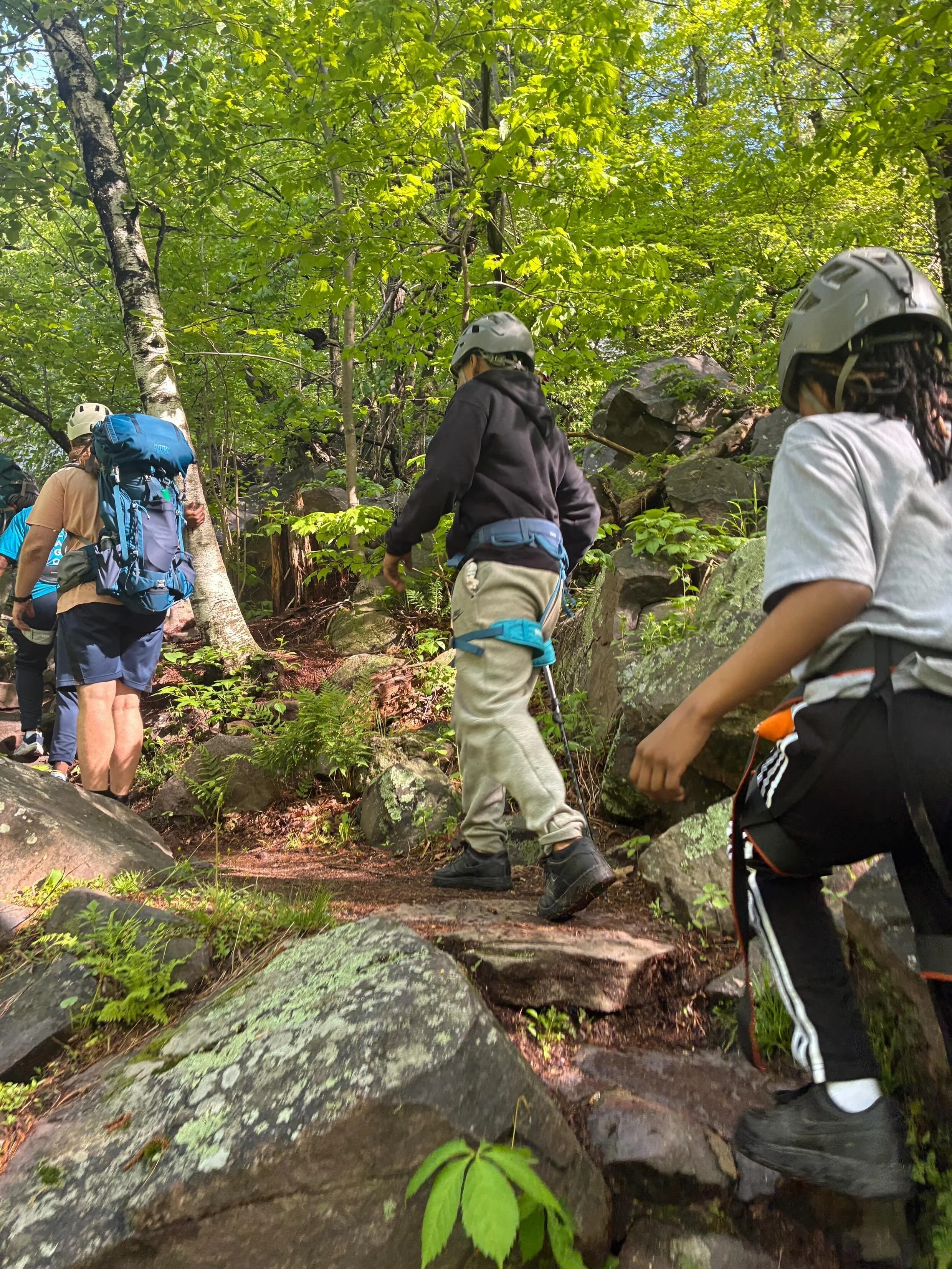 Group of people hiking in lush green forest with rocks and trees
