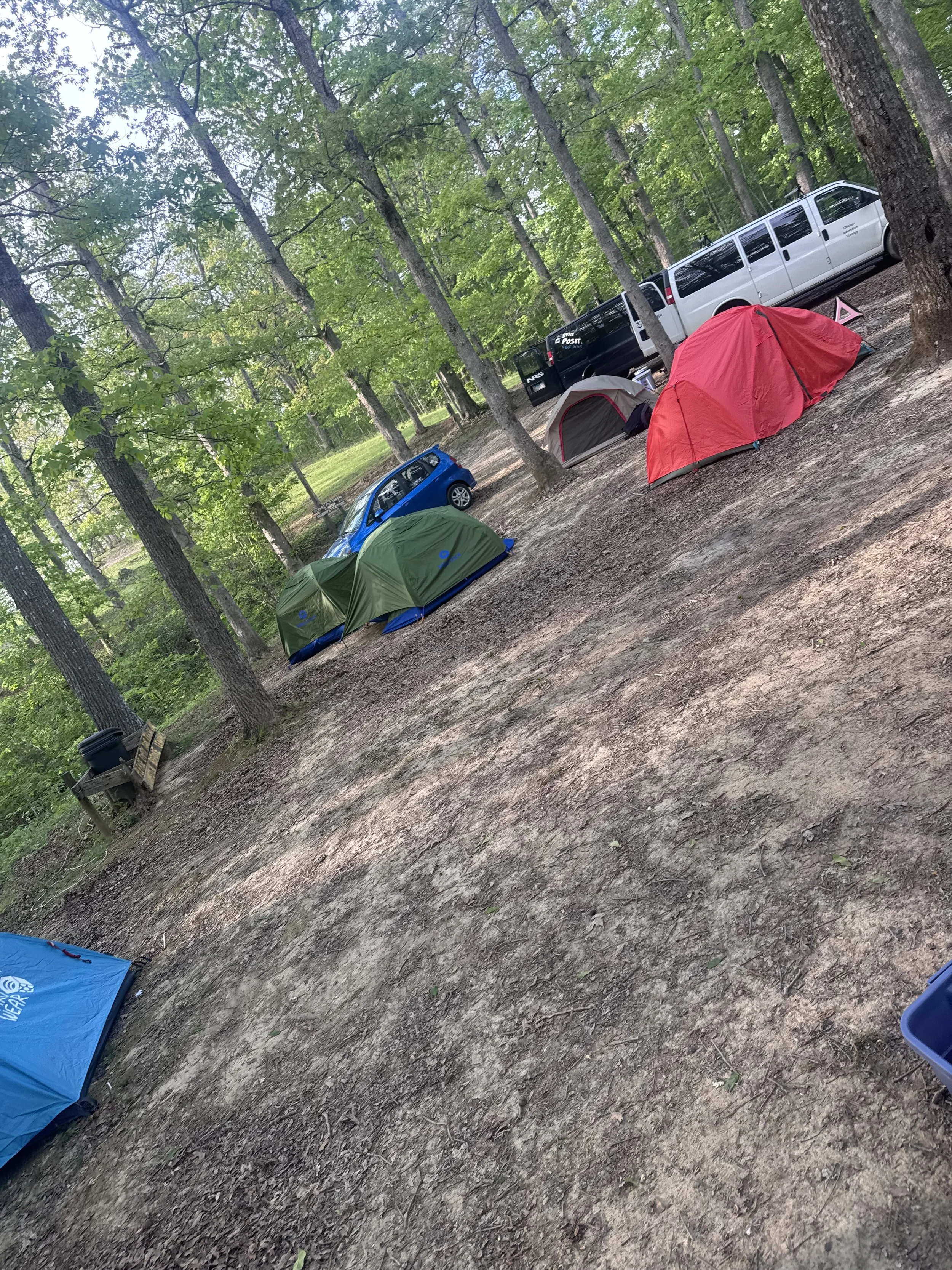 Camping scene in a wooded area with tents, a blue tent, a red tent, and a small grey tent, along with parked cars including a blue vehicle, a white limousine, and a black van in the background. A wooden bench is also present.