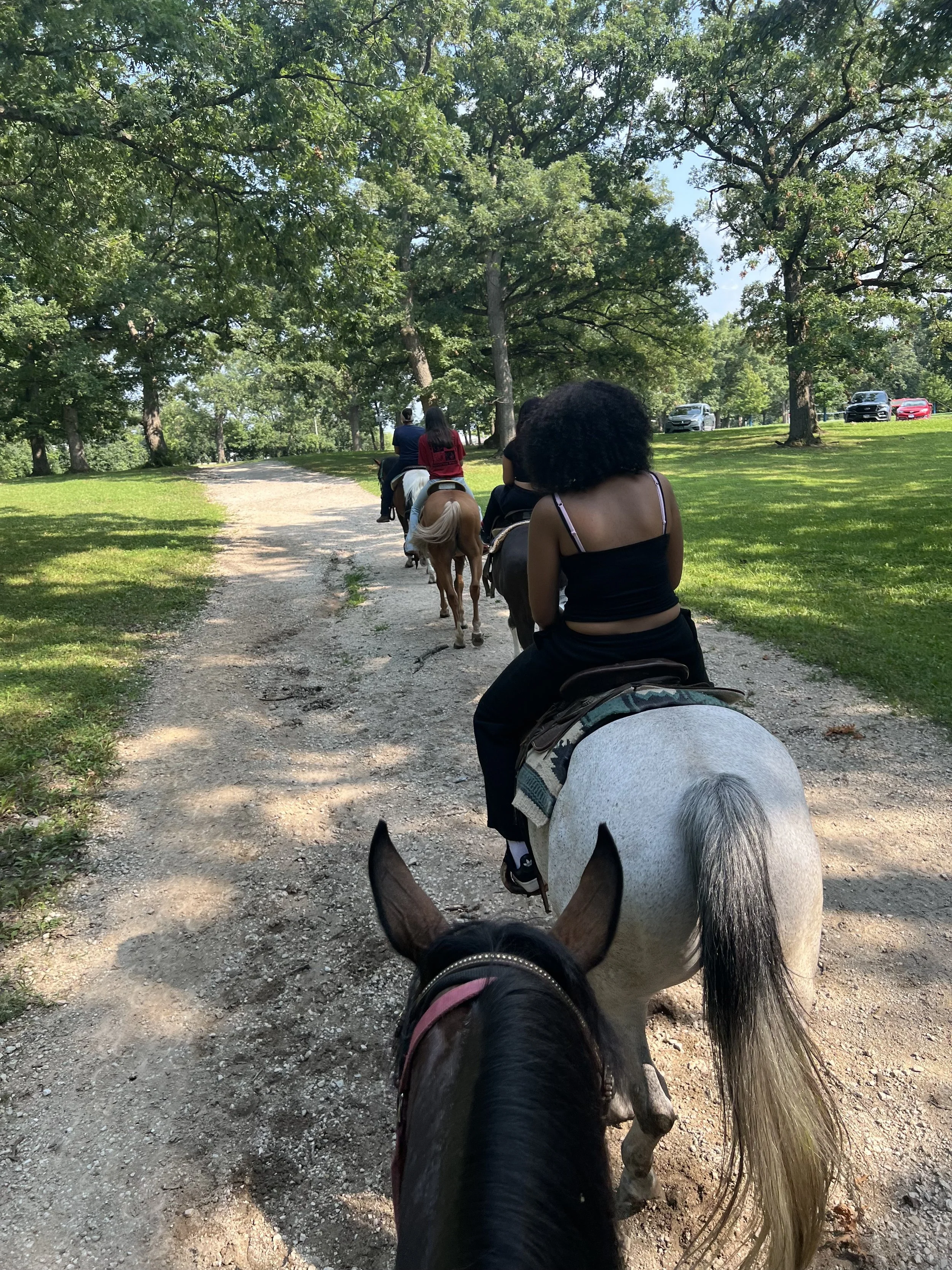 People riding horses on a dirt trail through a green, wooded park on a sunny day.