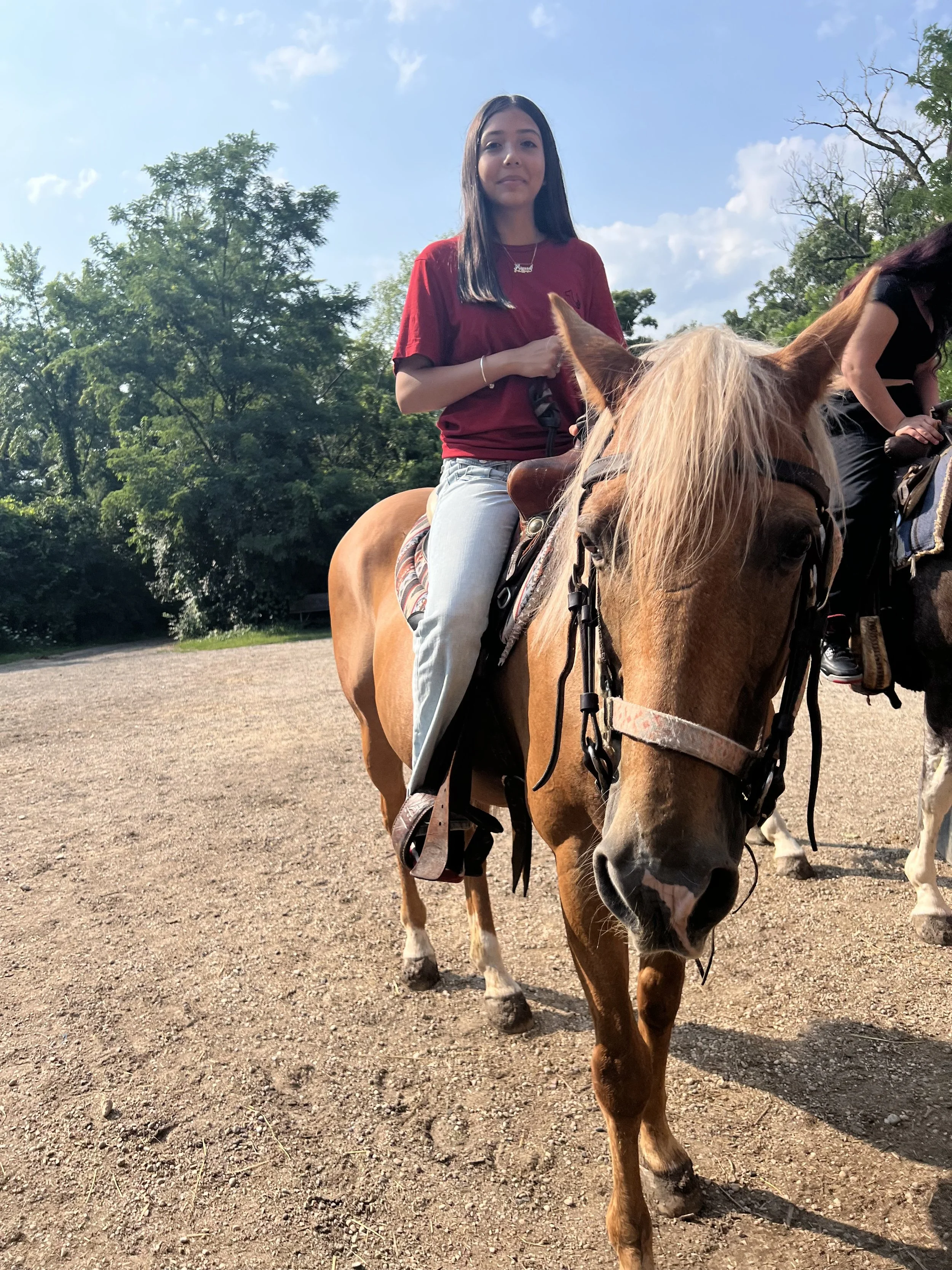 A young woman riding a horse outdoors on a sunny day, with trees in the background.