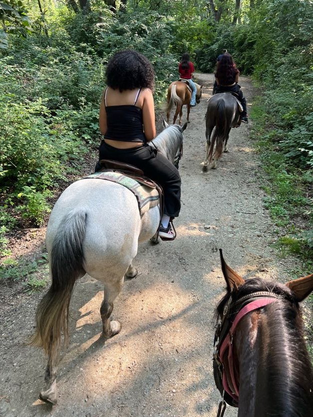Four women riding horses on a dirt trail through a green forest, viewed from behind.