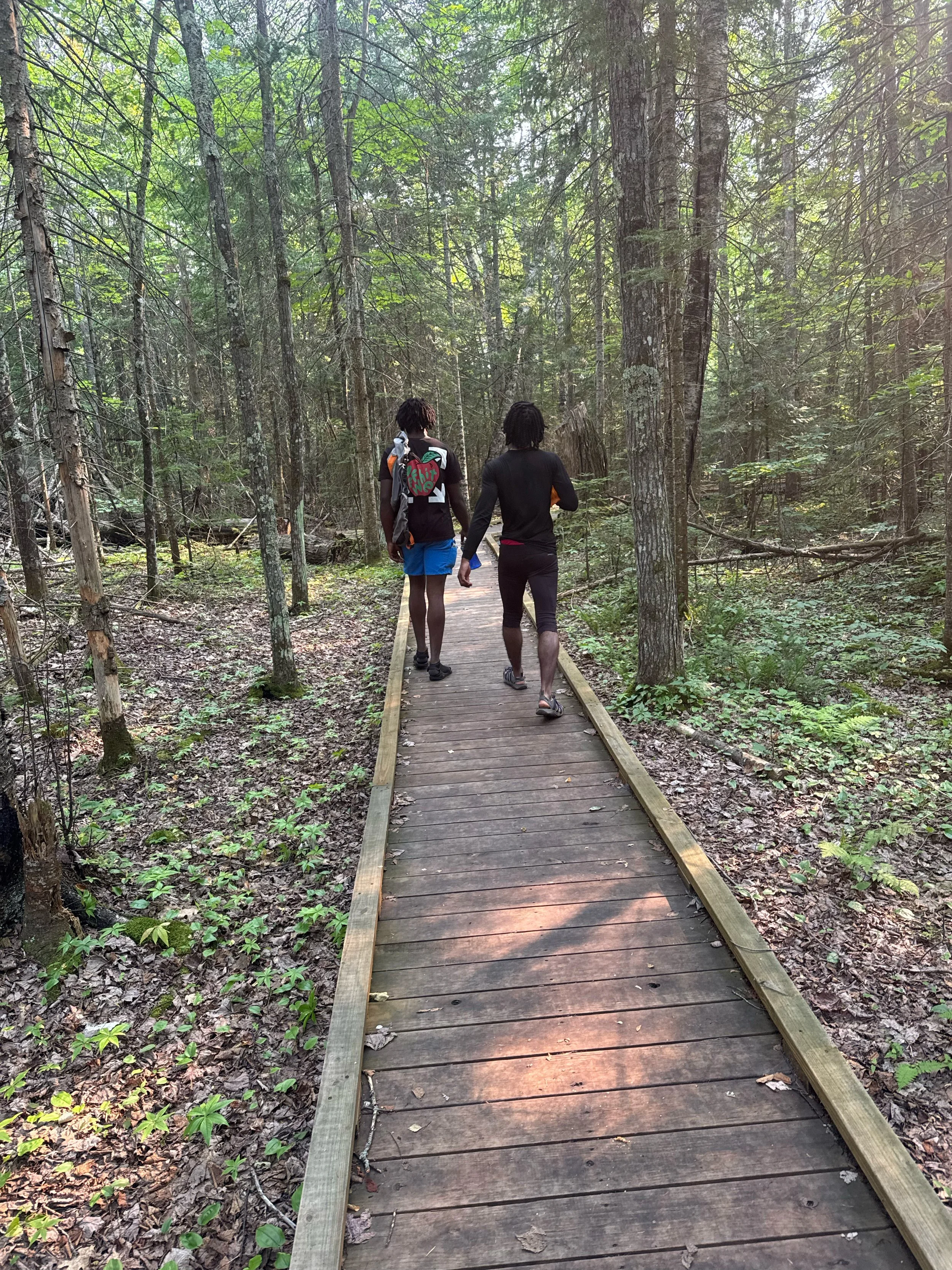 Two people walking on a wooden trail through a dense forest with tall trees and lush greenery.