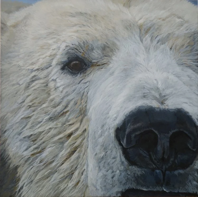 Polar Bear
