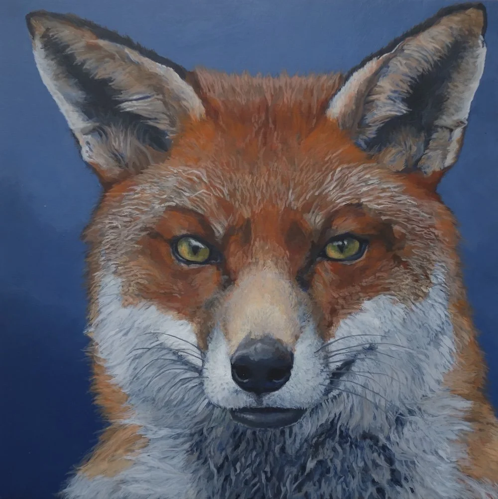 Red Fox