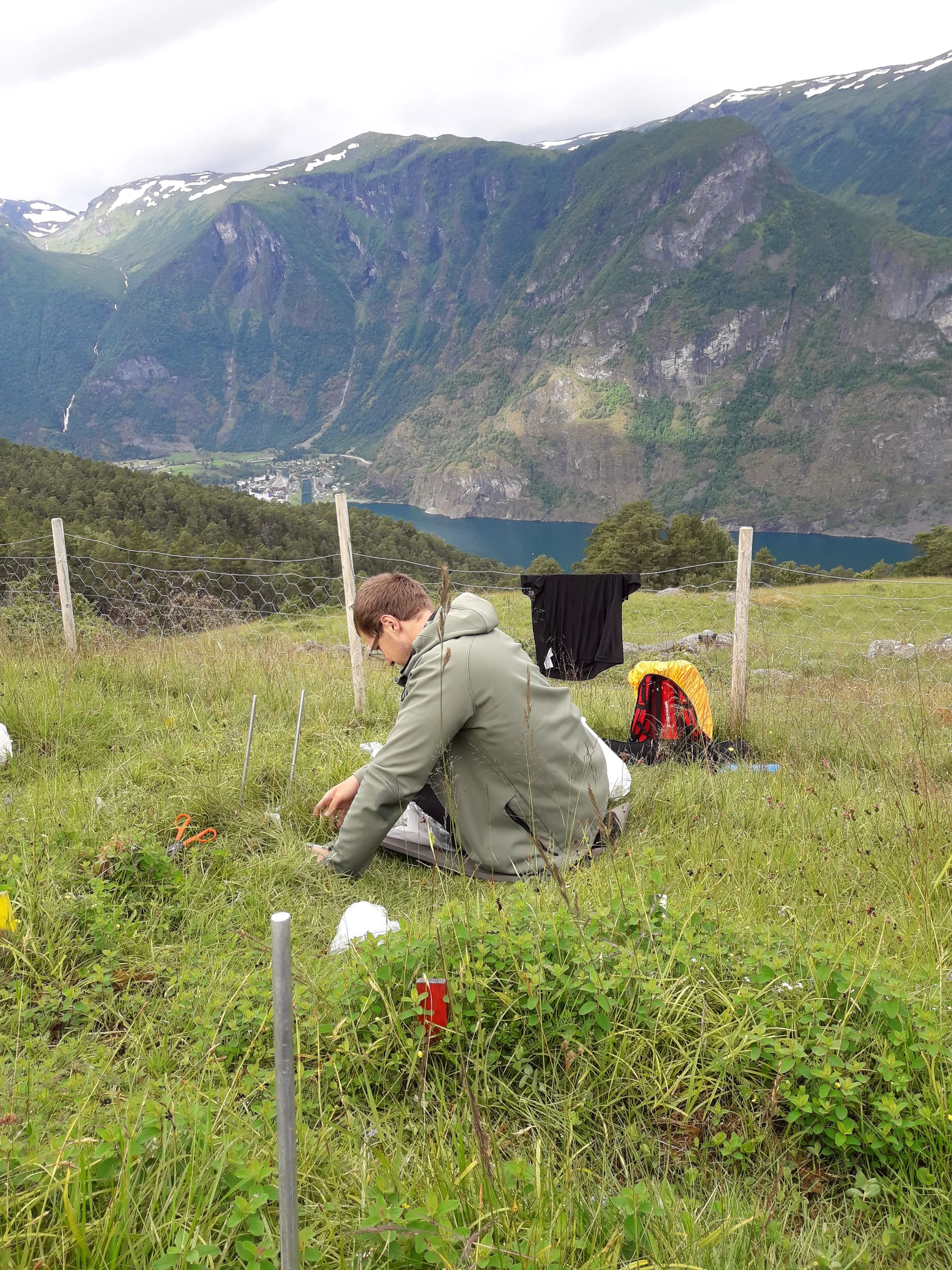 Scientist kneeling on green grass in a field, working with tools, with a scenic backdrop of mountains, a lake, and cloudy sky.