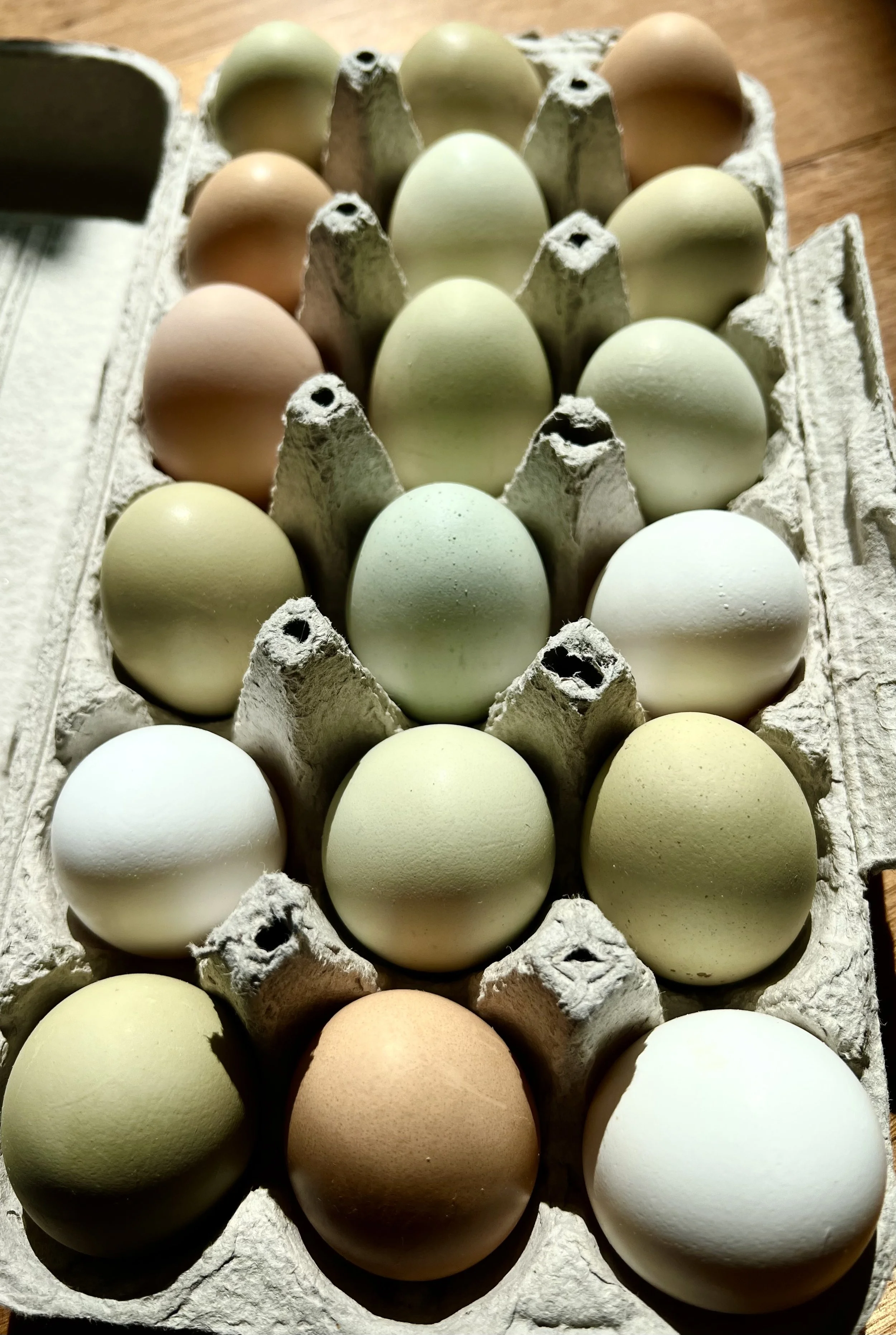 A carton of 18 pastel-colored eggs in shades of white, cream, beige, green, and brown, placed on a wooden surface.