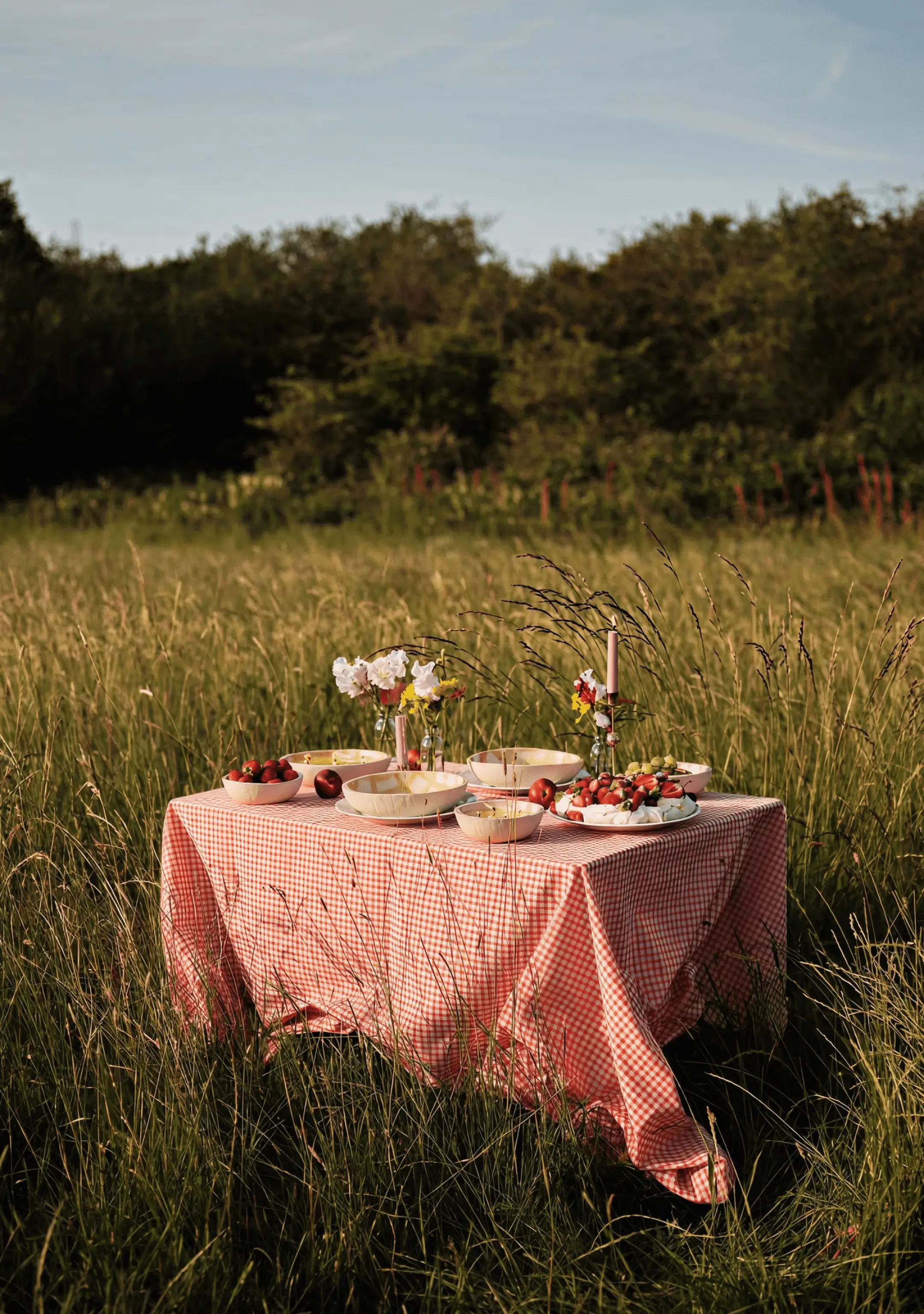 A picnic table with a red checkered tablecloth in a grassy field, set with bowls of strawberries, flowers, candles, and plates of food, with trees in the background and the sky above.