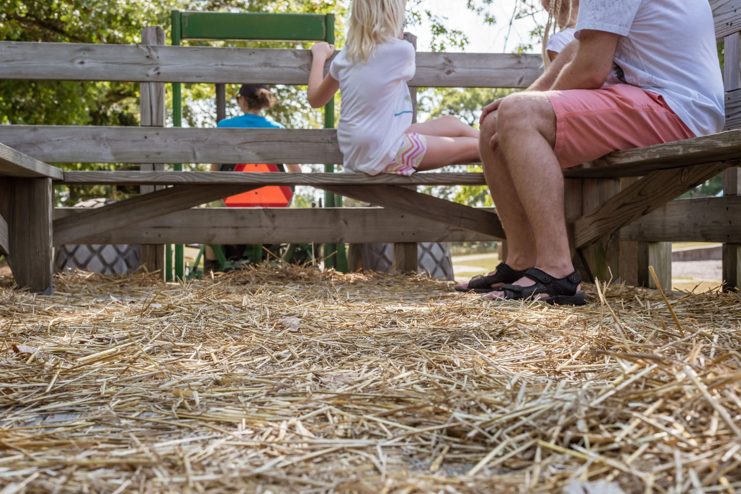People sitting on a wooden park bench in a shaded area with straw-covered ground and trees in the background.