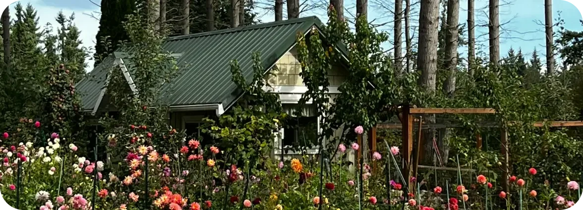 A small house surrounded by colorful flowers and trees in a garden.