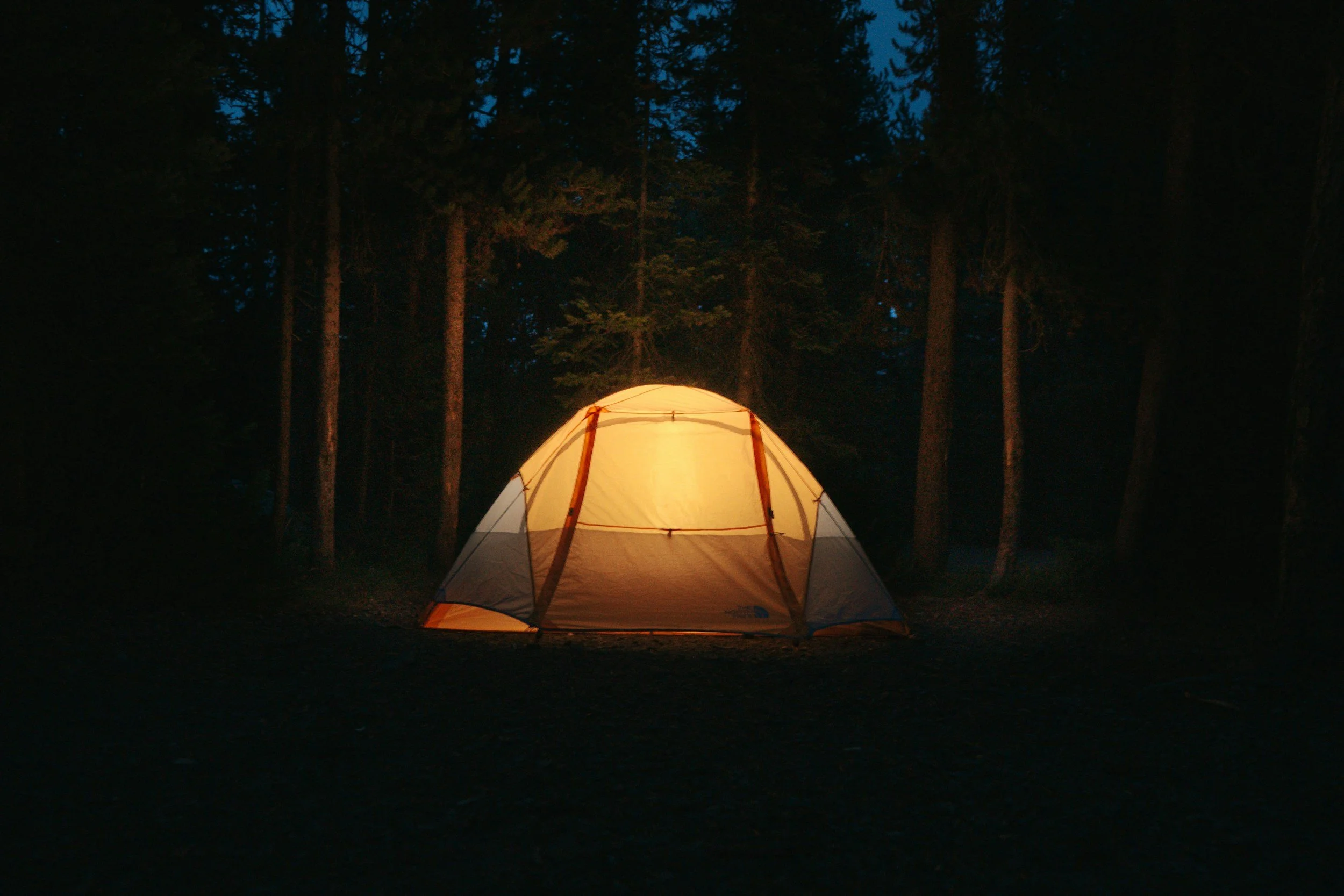 A glowing tent illuminated at night surrounded by tall trees in a forest.
