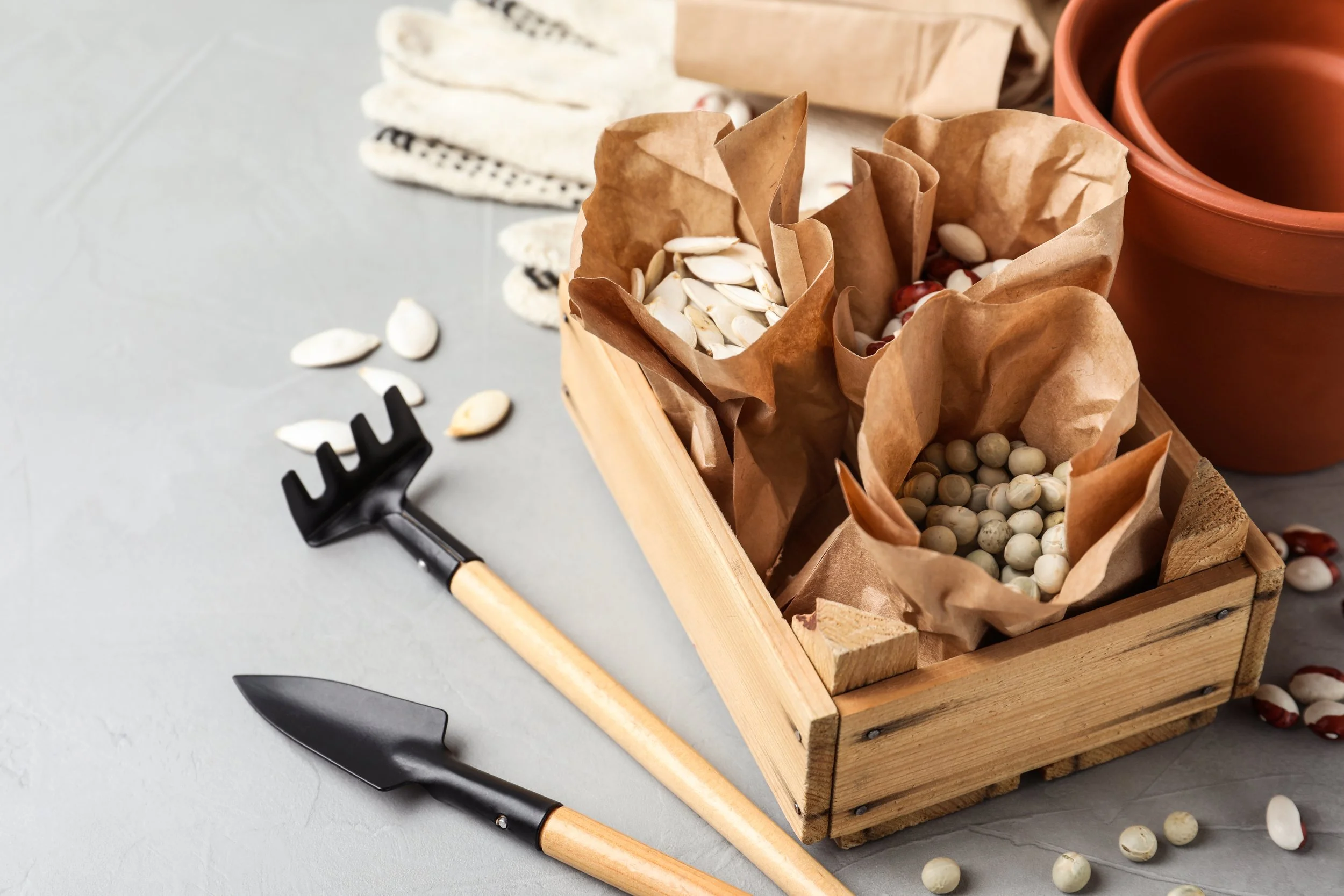 Garden Starters: Plant Your Own Garden (ages 7-9) 