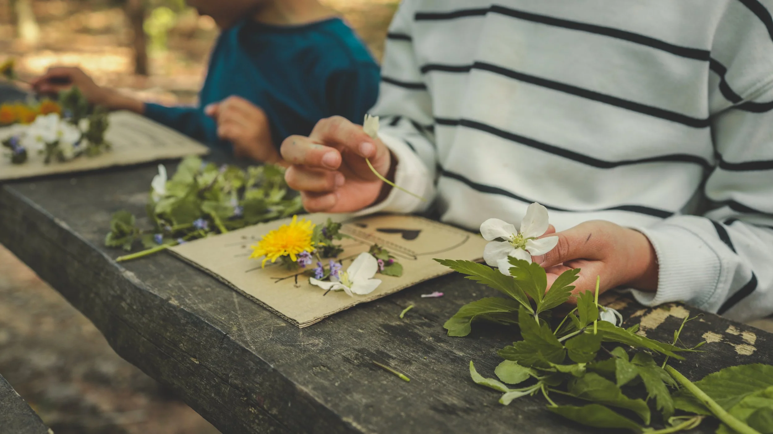 Nature Art &amp; Wild Creations (ages 4-6)
