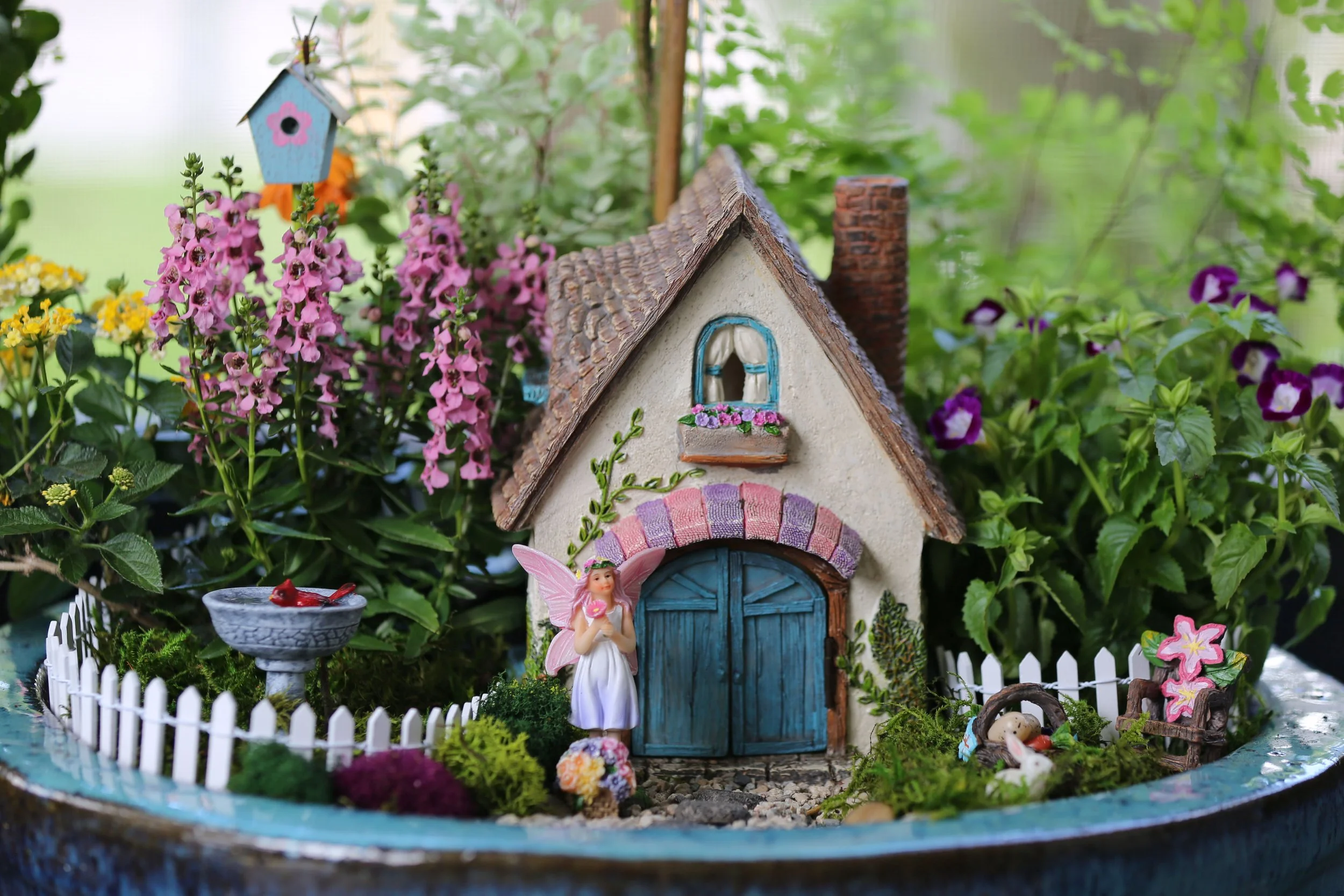 Build a Fairy Garden (ages 4-6)