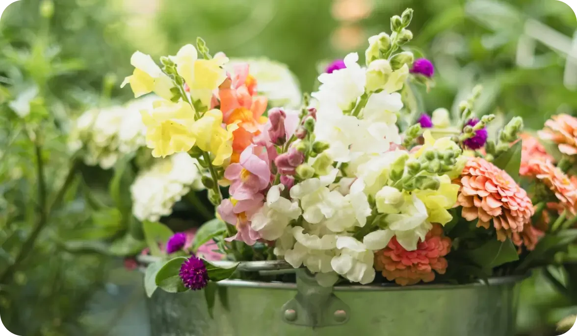 A colorful bouquet of various flowers including snapdragons, zinnias, and other assorted blossoms, set against green foliage background.