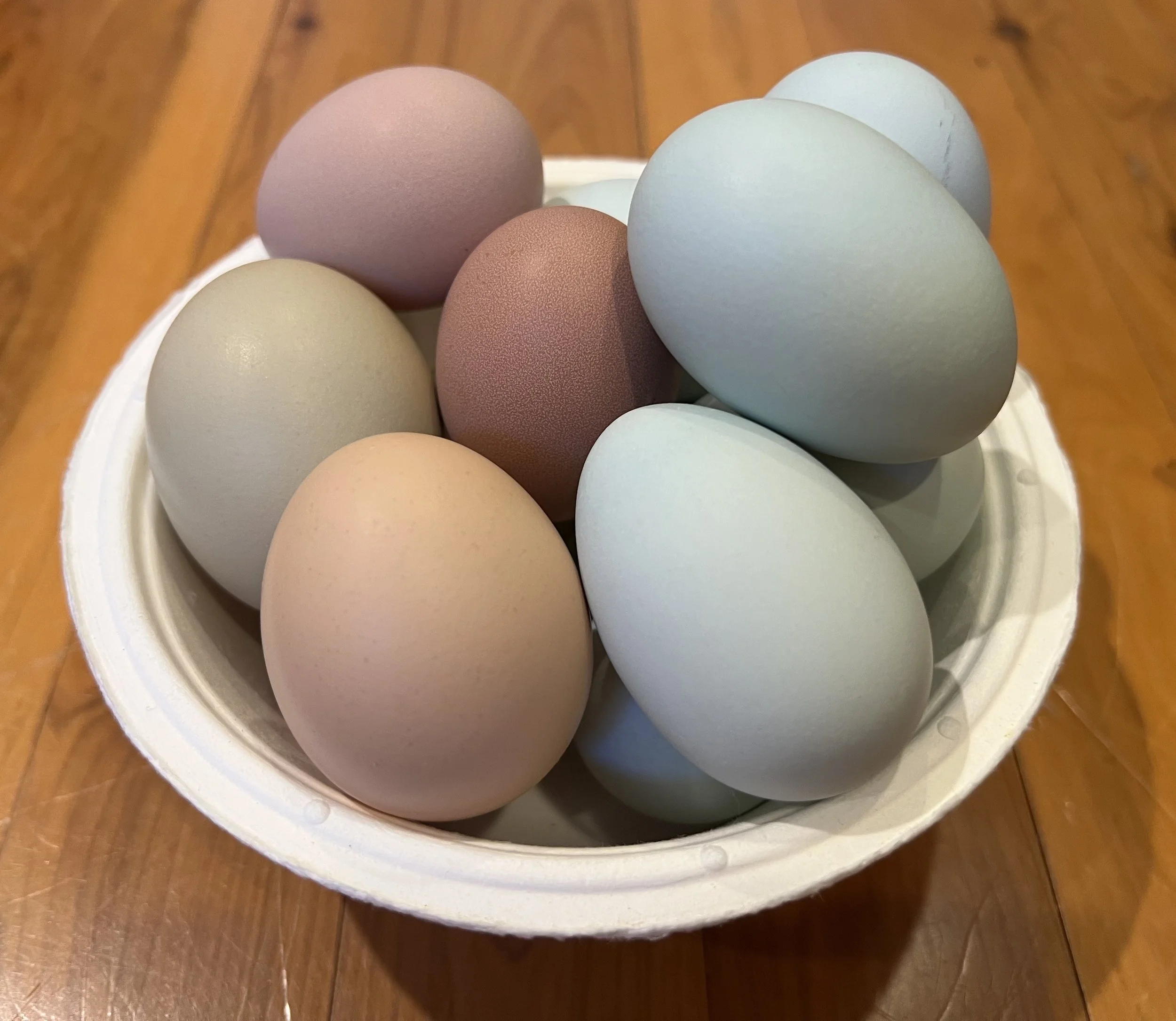 1 Dozen Eggs