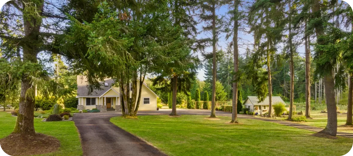A spacious yard with a driveway leading to a yellow house surrounded by tall trees and well-maintained grass.