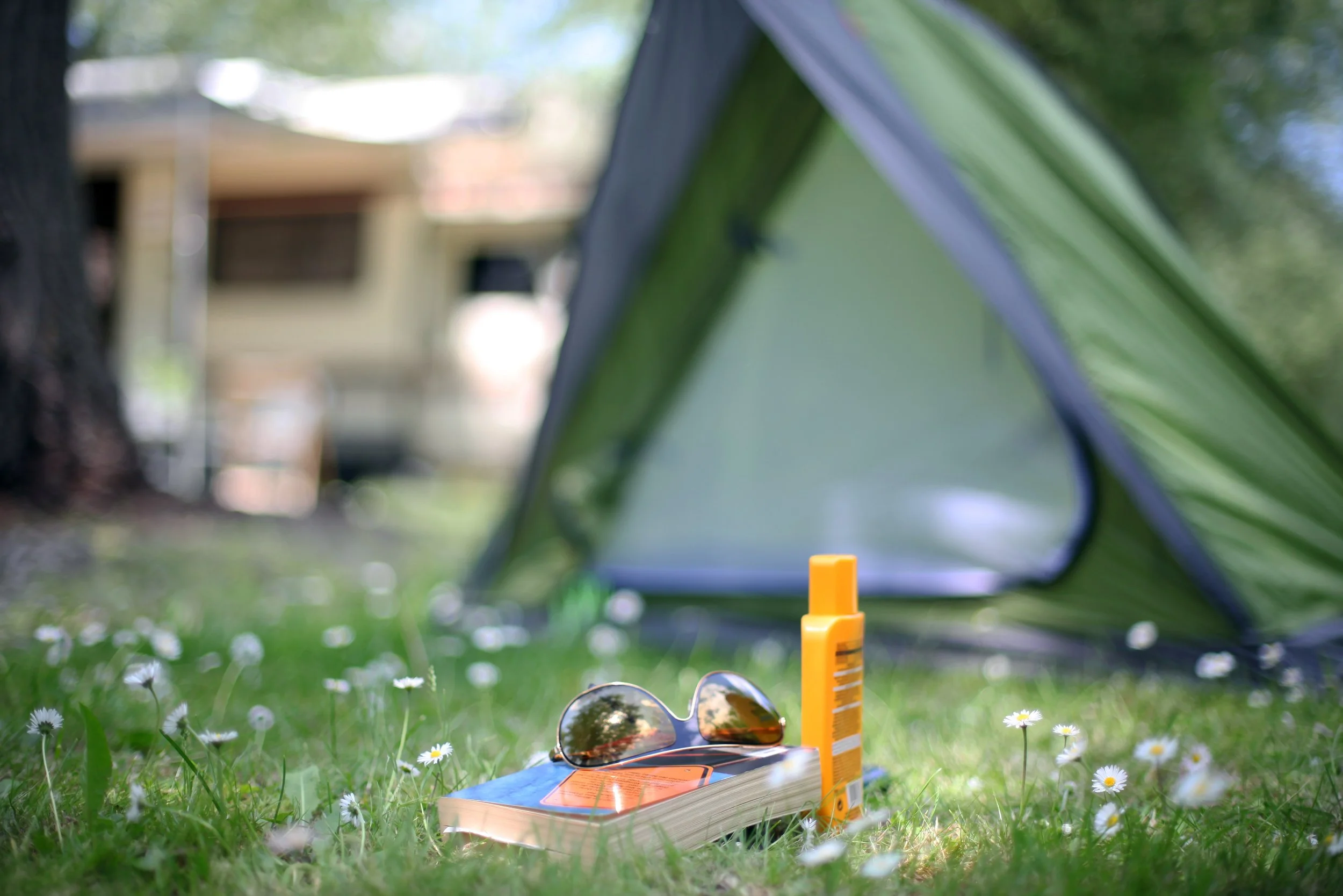 Camping scene with a tent, sunglasses, a book, sunscreen, and daisies on grass.