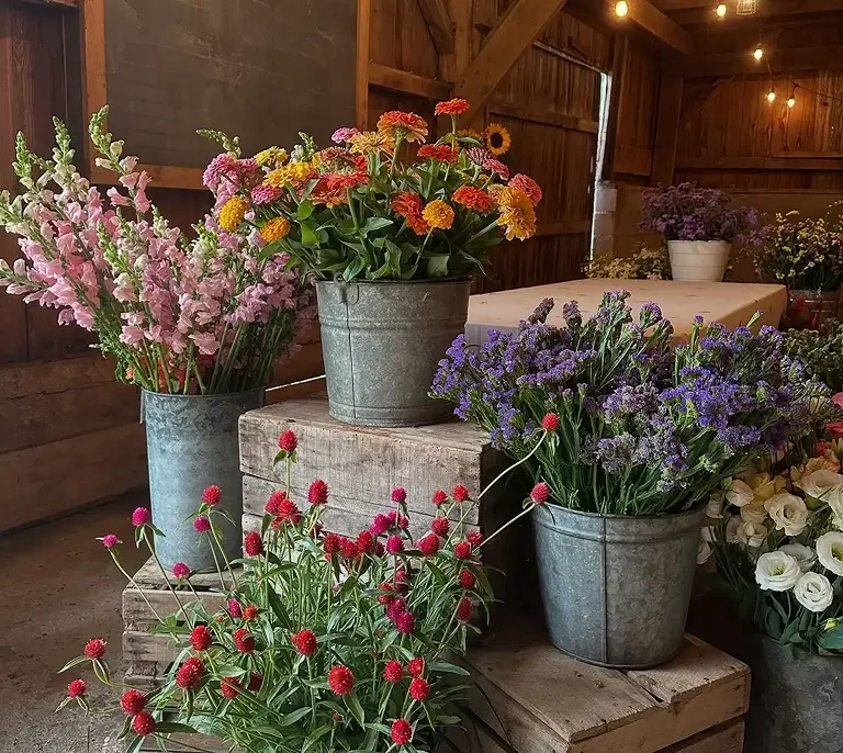 Various colorful flowers arranged in metal pots on wooden display in a rustic setting.