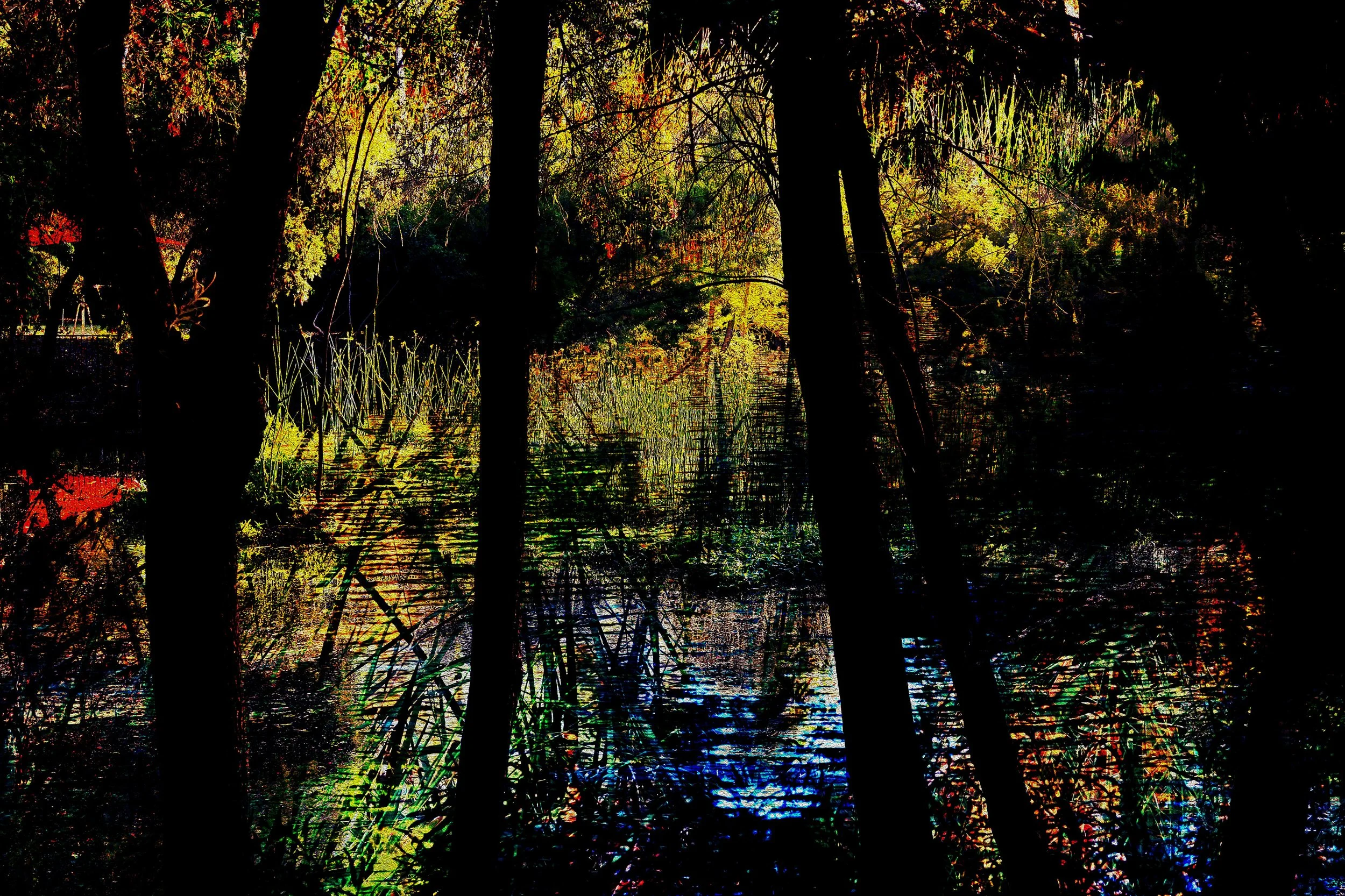 REFLECTION