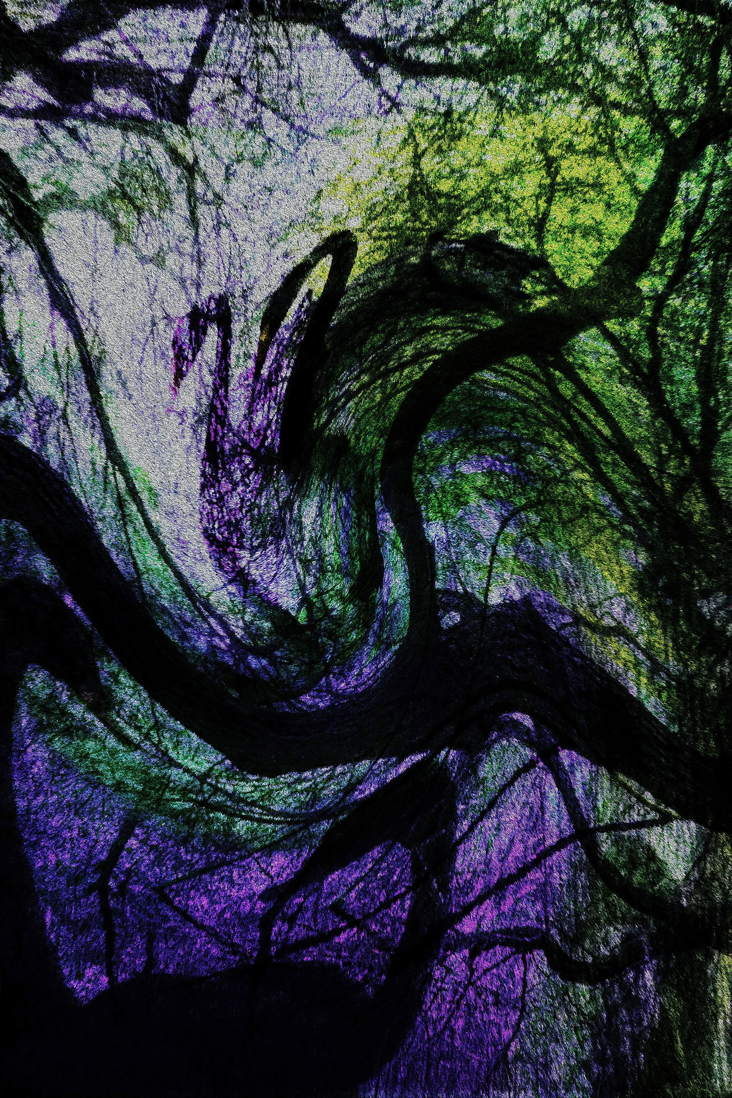 SHADOW DANCE