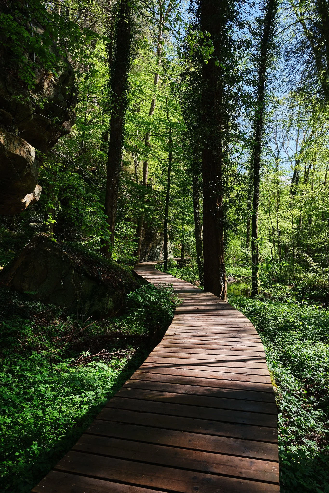 Kallektuffquell 01.jpg