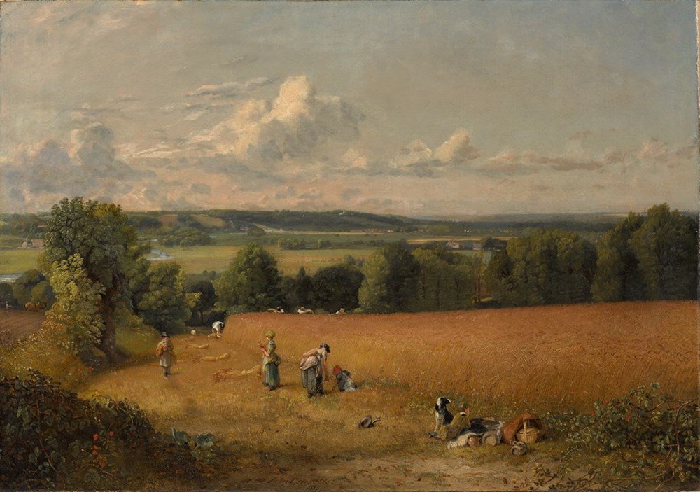 Right to Roam: The Movement that Saved England