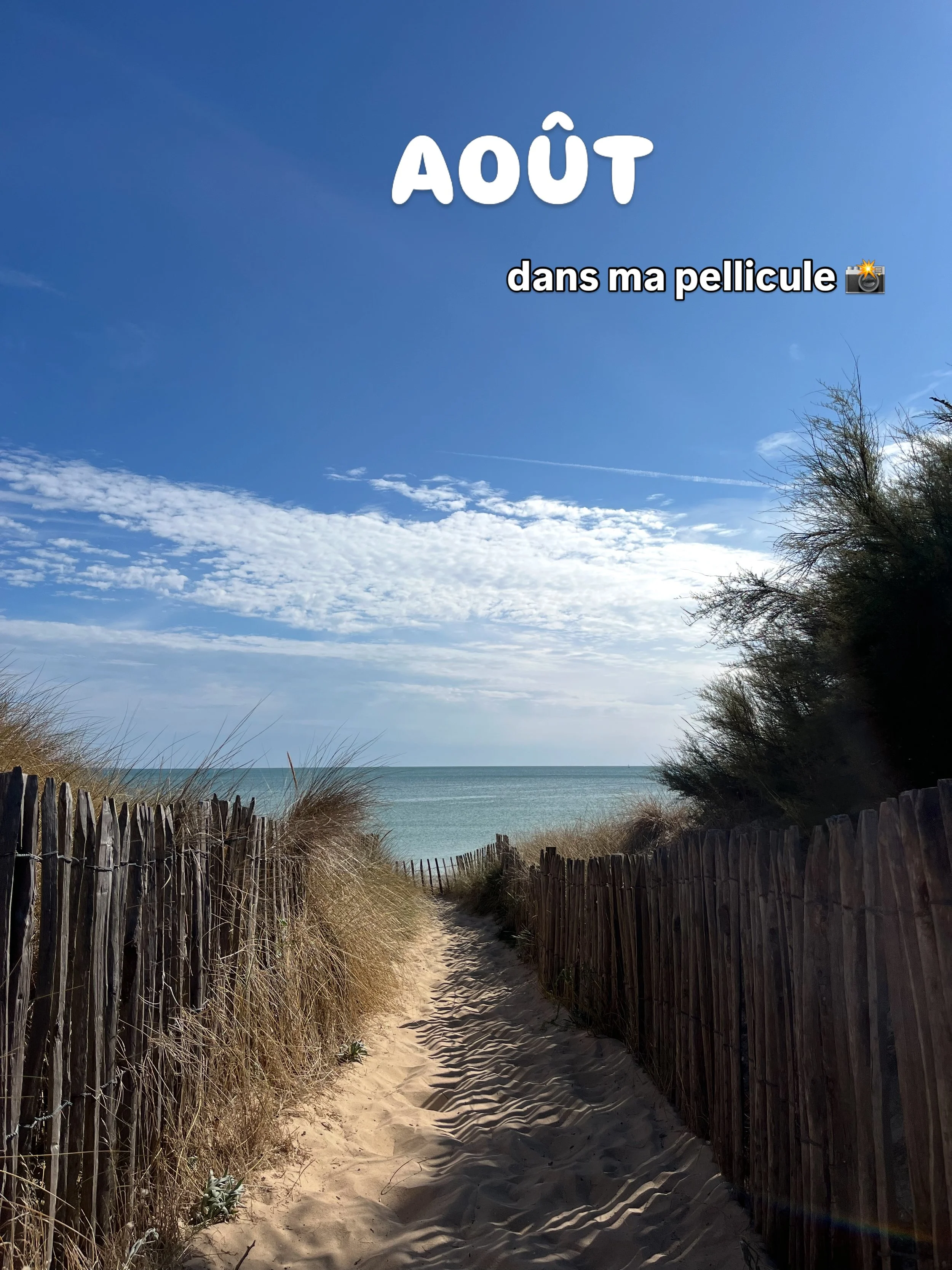 Bienvenue dans mon r&eacute;cap du mois d&rsquo;aooo&ucirc;&ucirc;t 🤍

&Ccedil;a me fait toujours un petit pincement au c&oelig;ur quand l&rsquo;&eacute;t&eacute; et la saison se terminent. Apr&egrave;s l&rsquo;euphorie estivale et le rythme &agrave