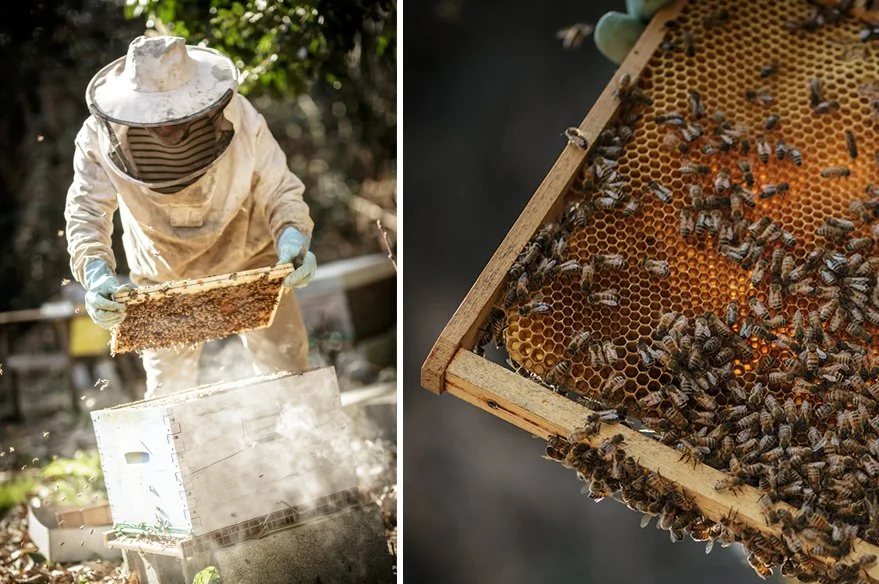 Reportage métier réalisé à Nantes autour du savoir-faire artisanal et de l’activité professionnelle.